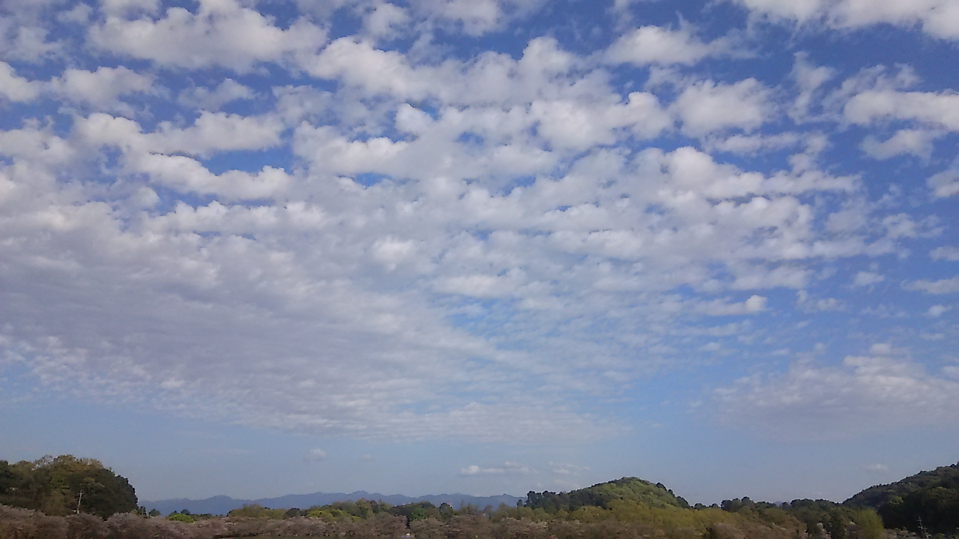 No.42500-1 地震雲