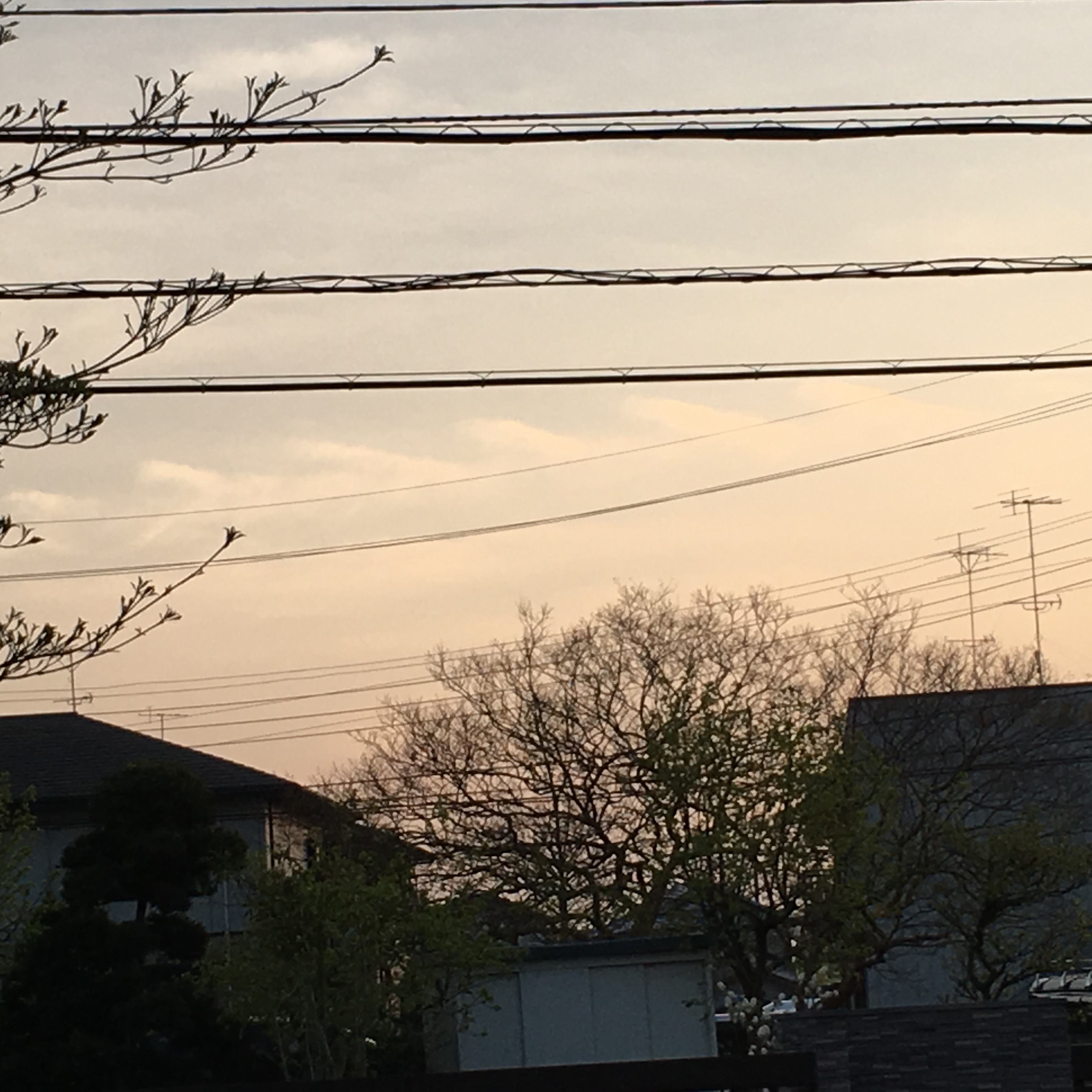 No.42536-1 地震雲