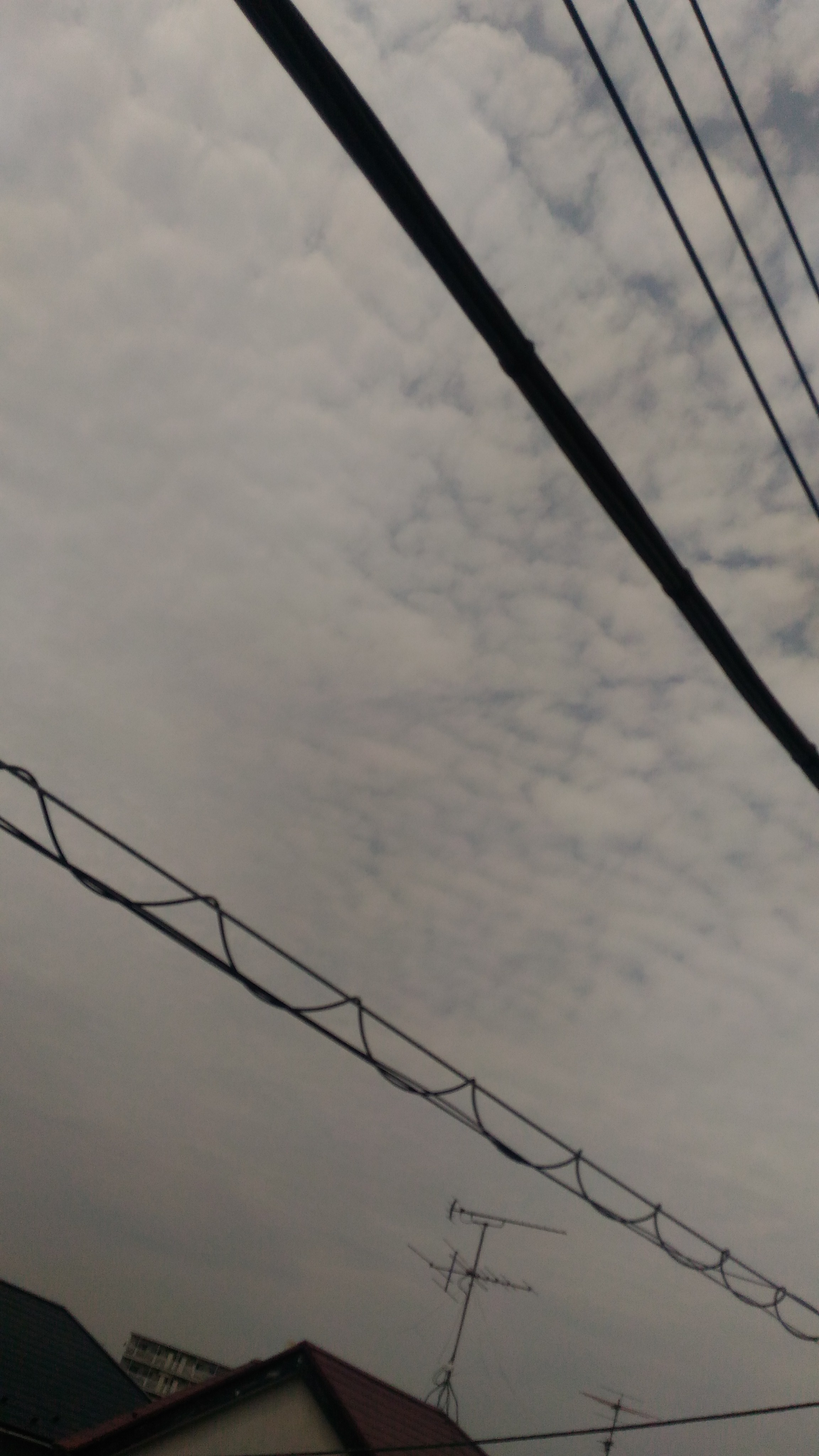 No.42568-1 地震雲