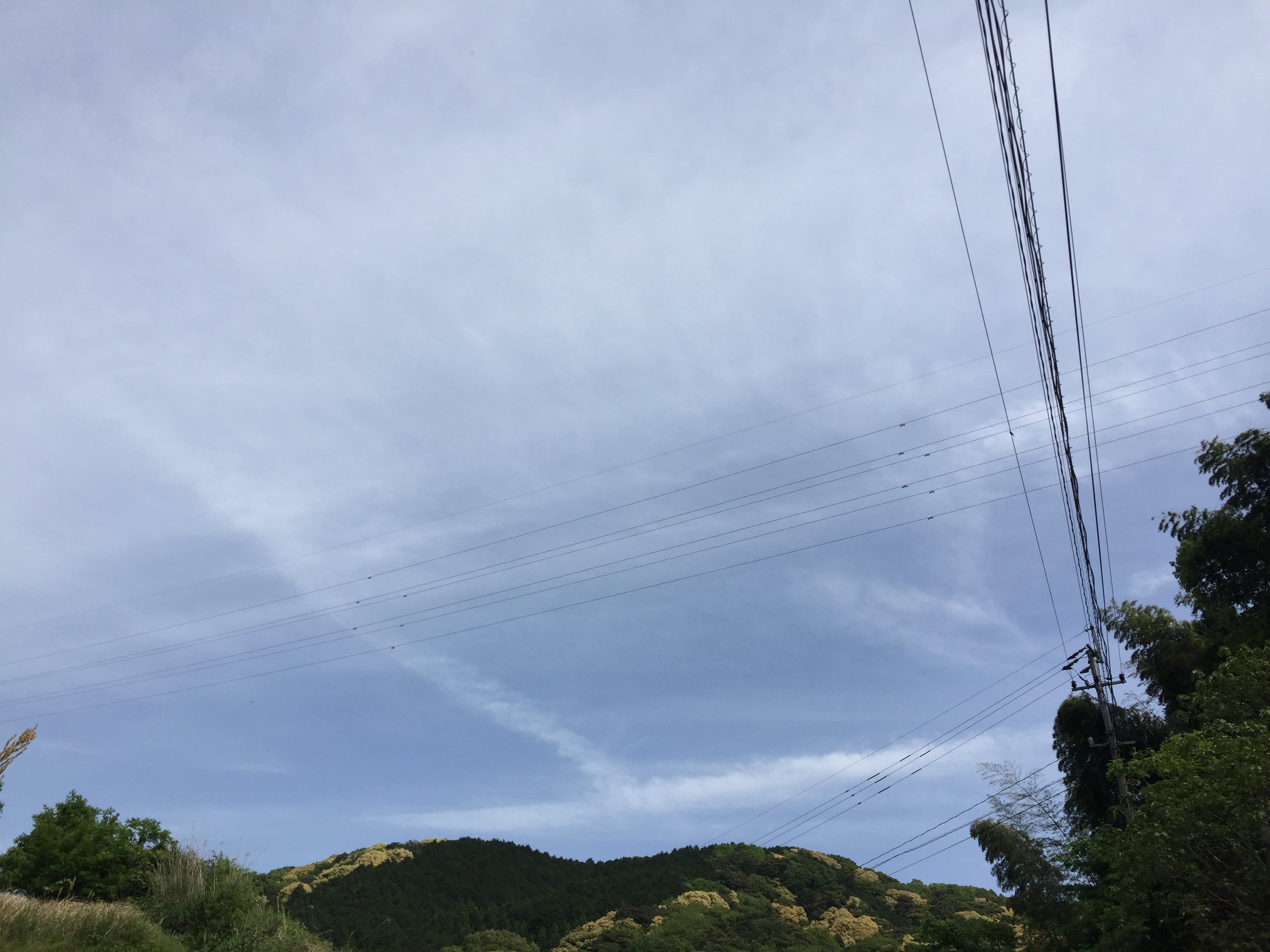 No.43193-1 地震雲