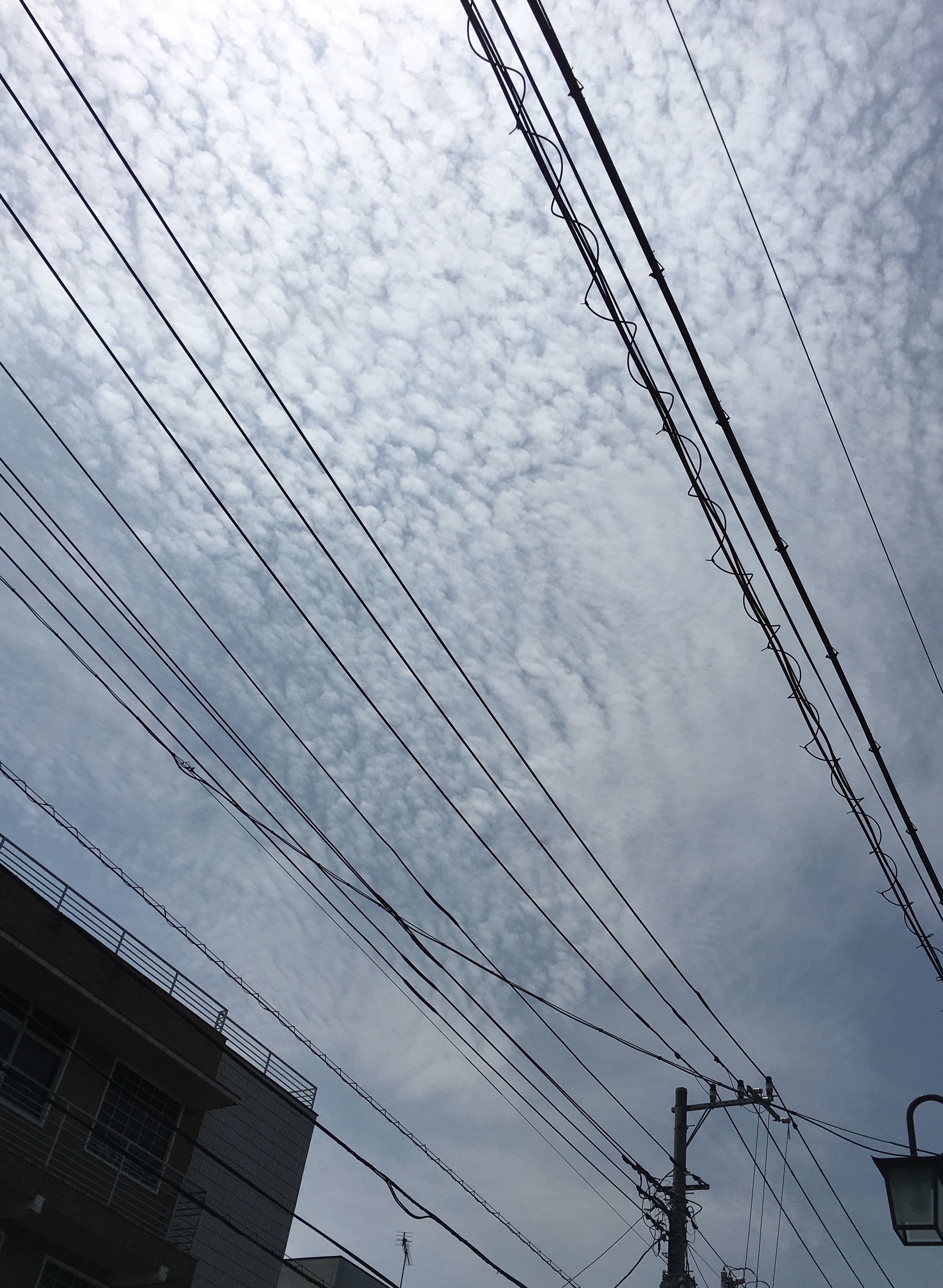 No.43300-1 地震雲