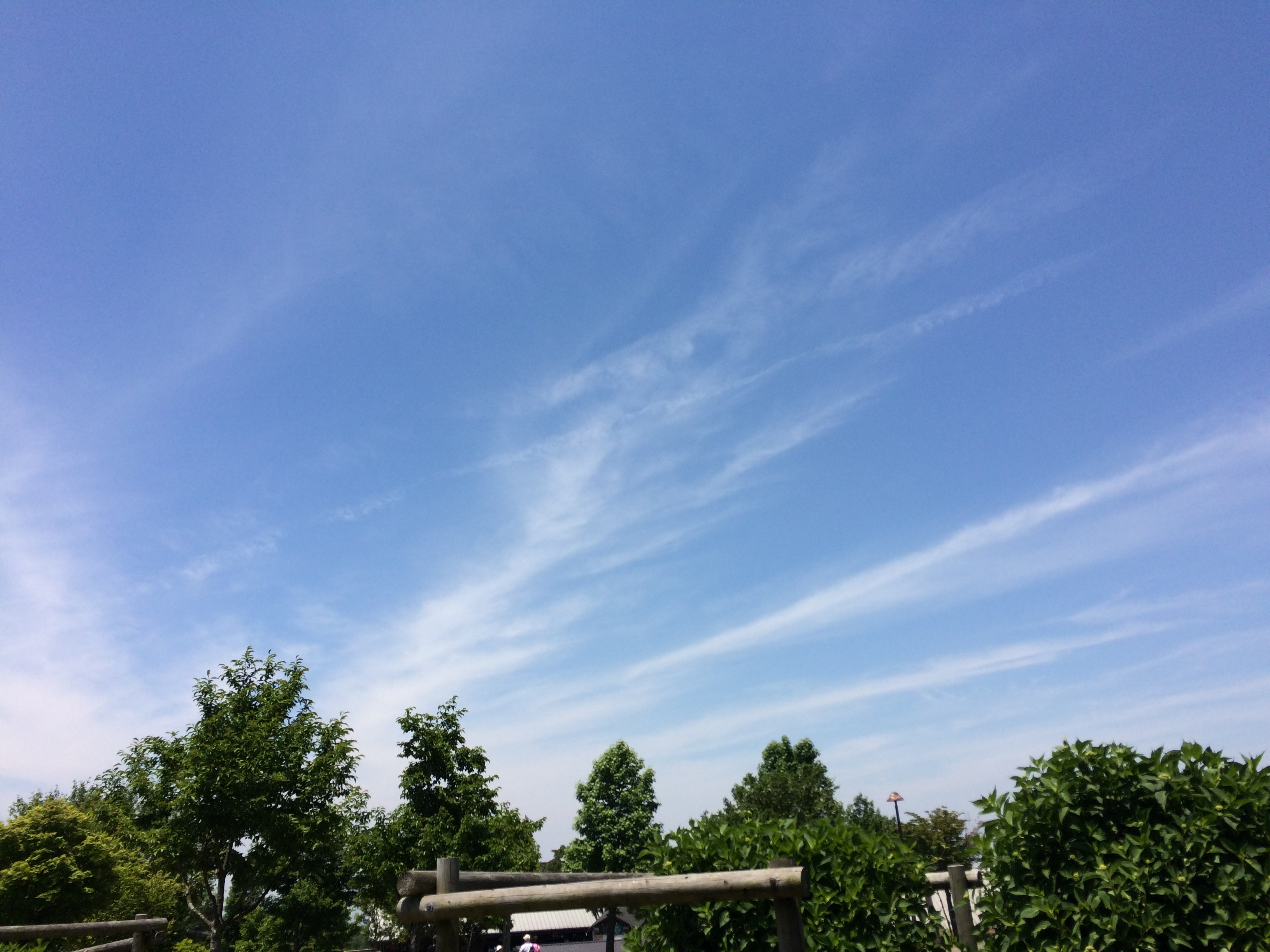 No.43564-1 地震雲