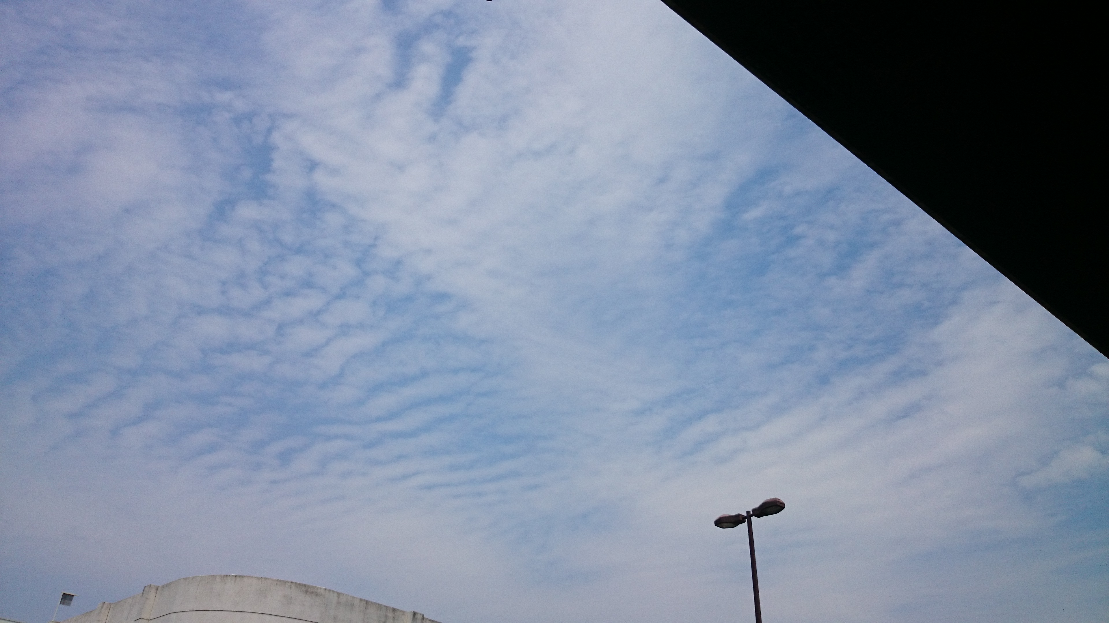 No.43742-1 地震雲