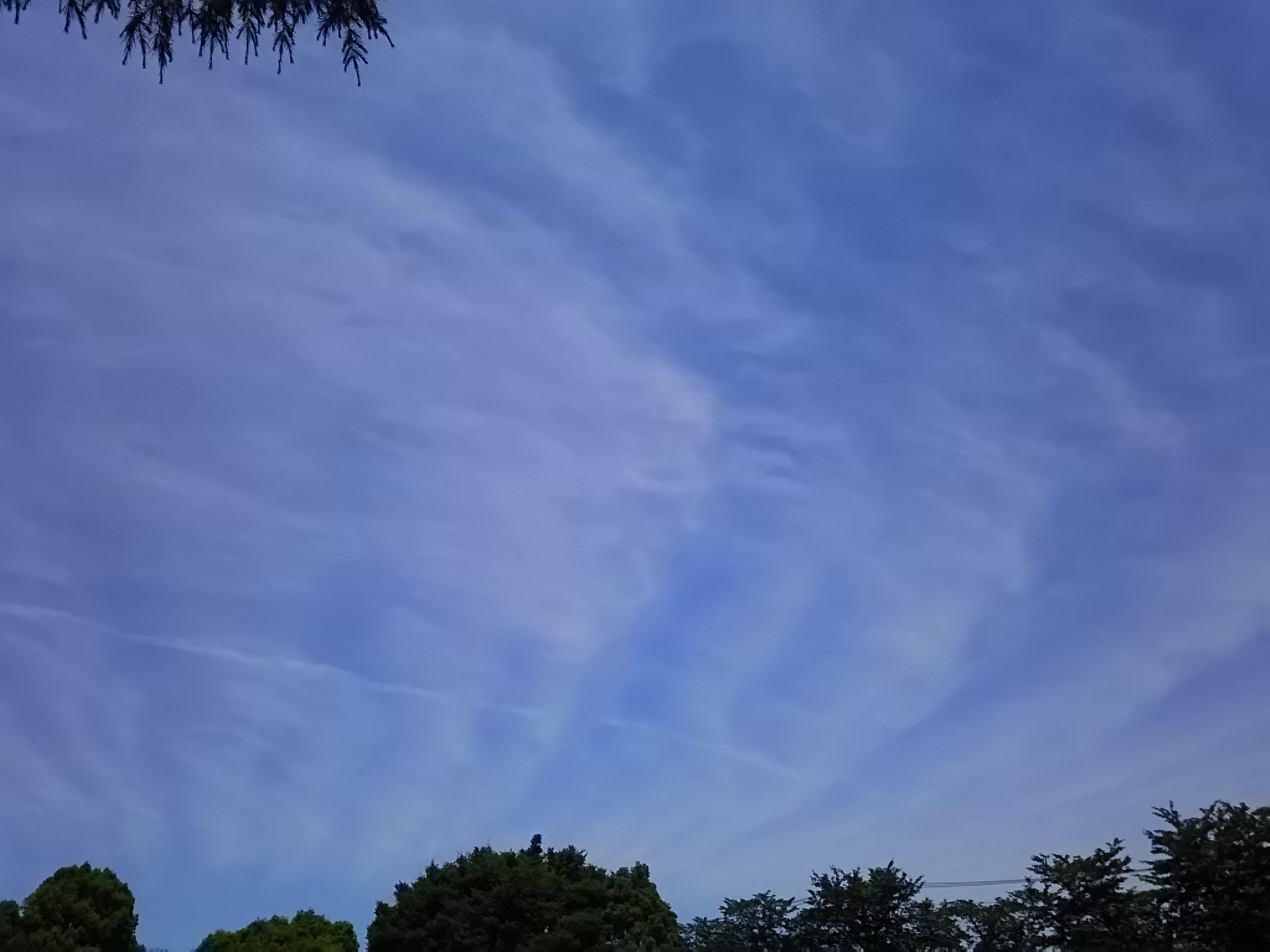 No.43800-1 地震雲