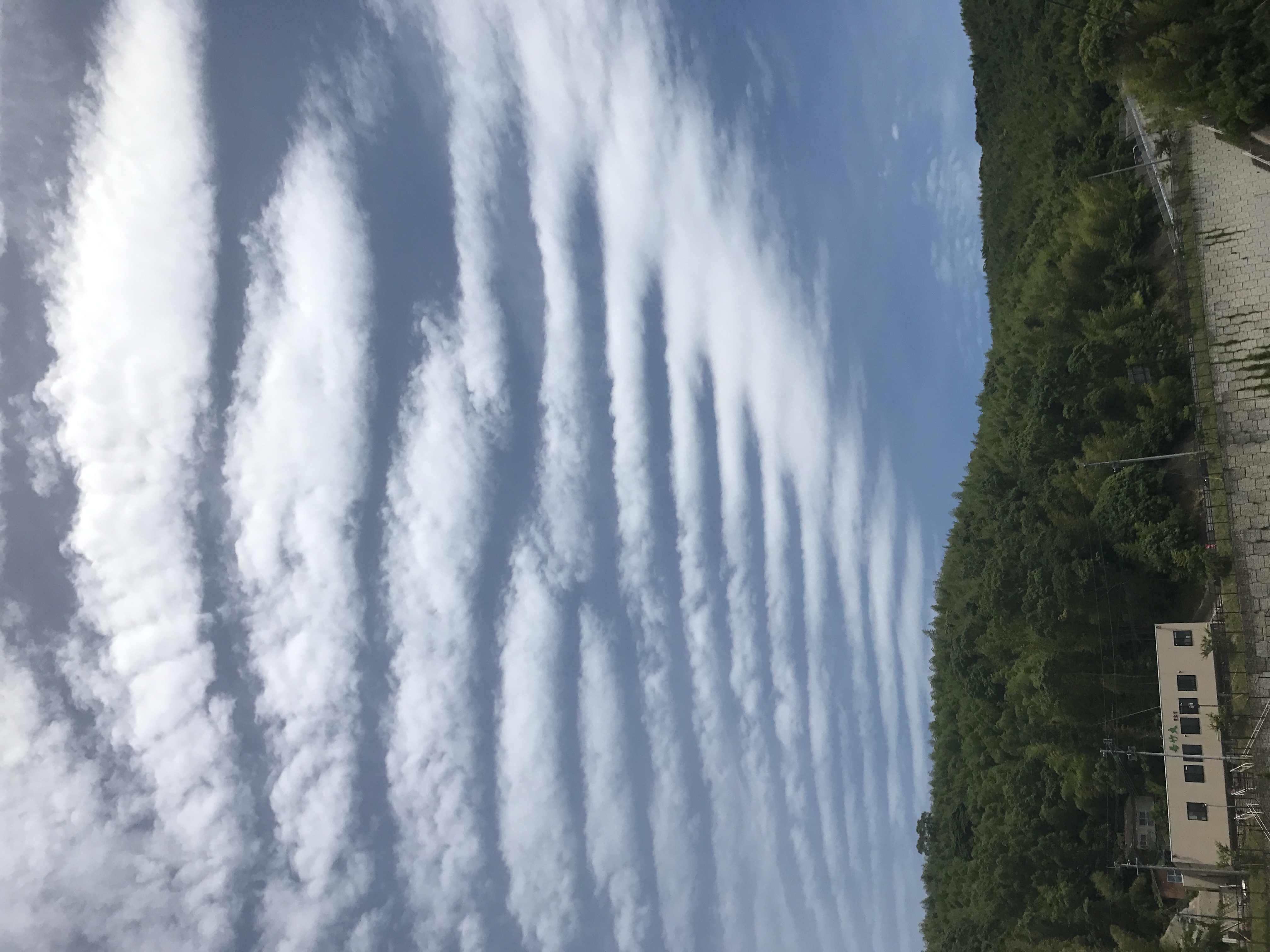 No.43900-1 地震雲