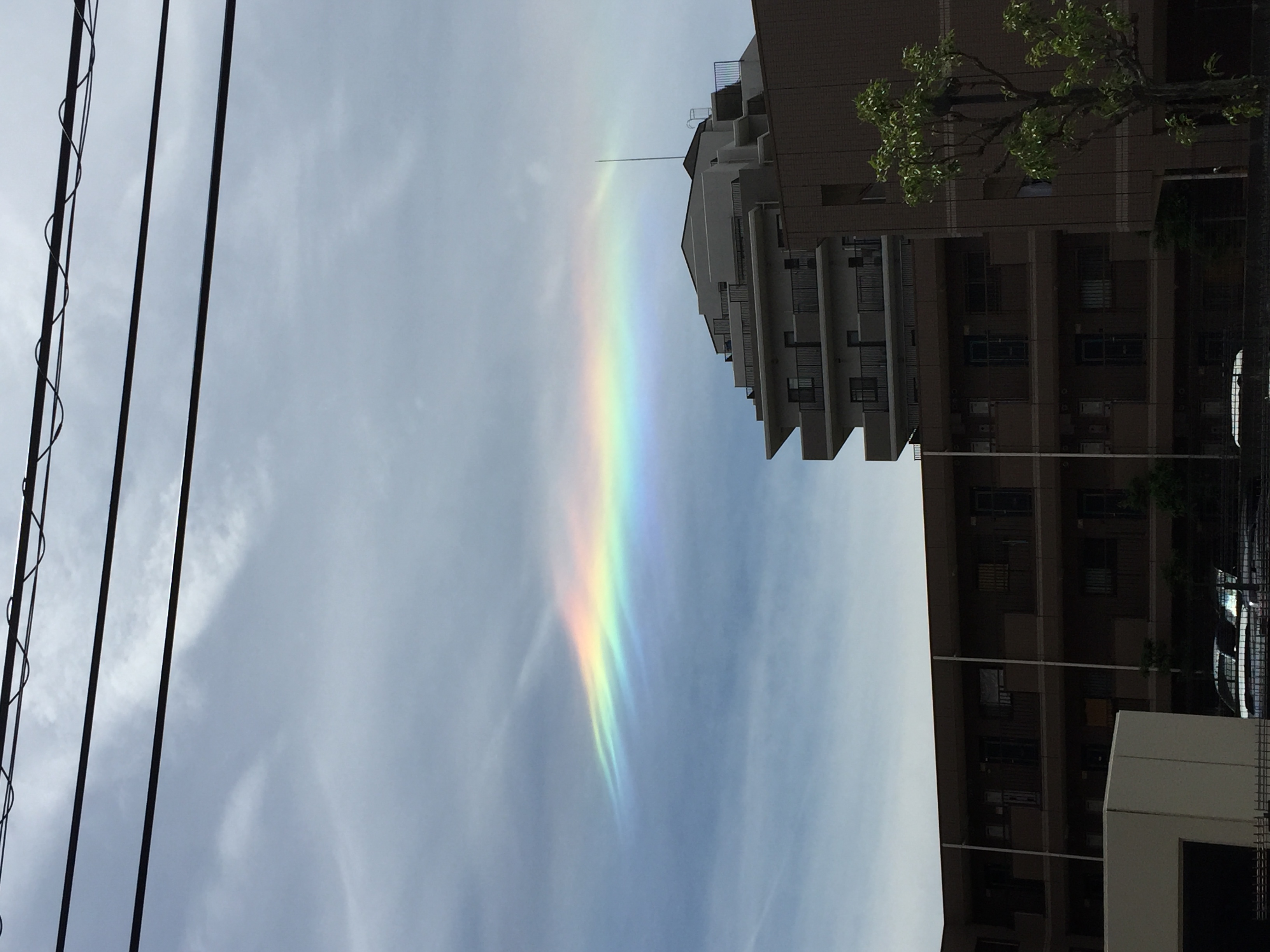 No.43950-1 地震雲