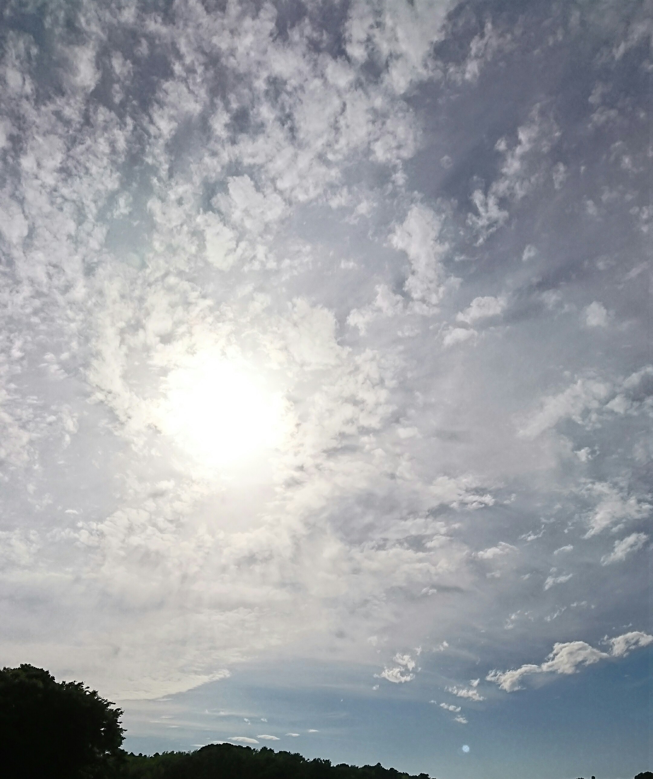 No.44006-1 地震雲