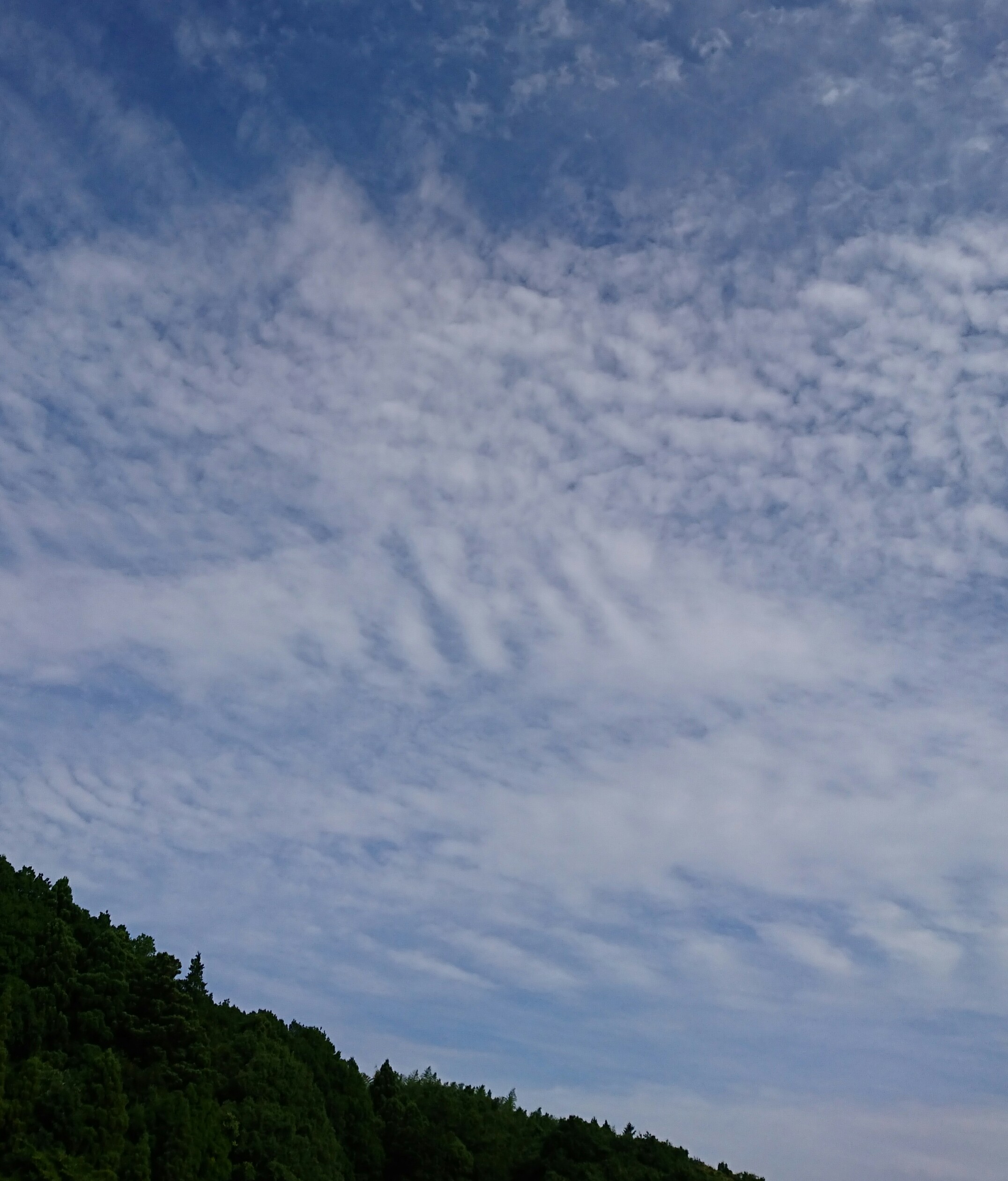 No.44007-1 地震雲