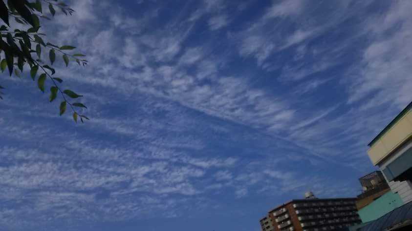 No.44011-1 地震雲