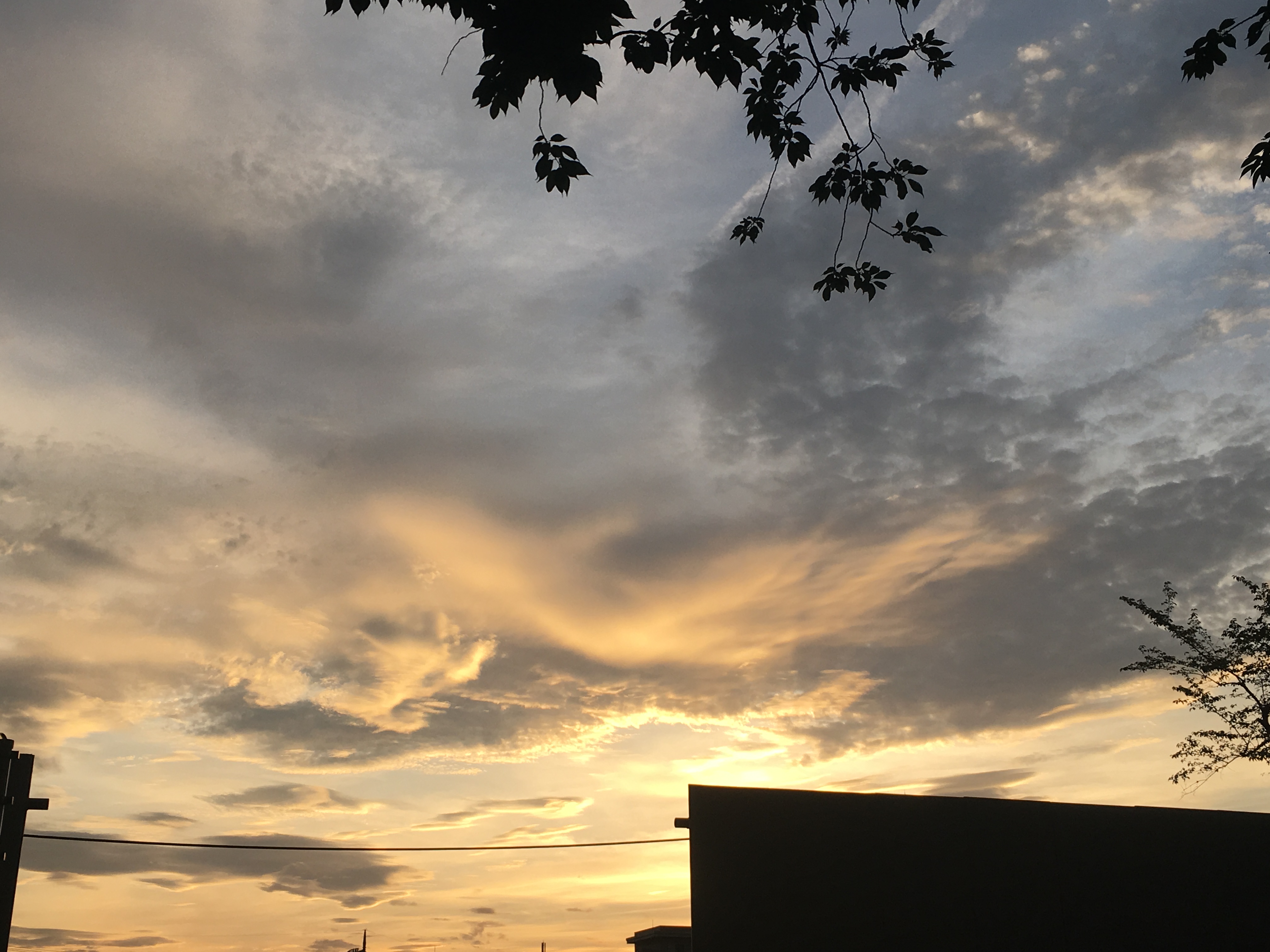 No.44411-1 地震雲