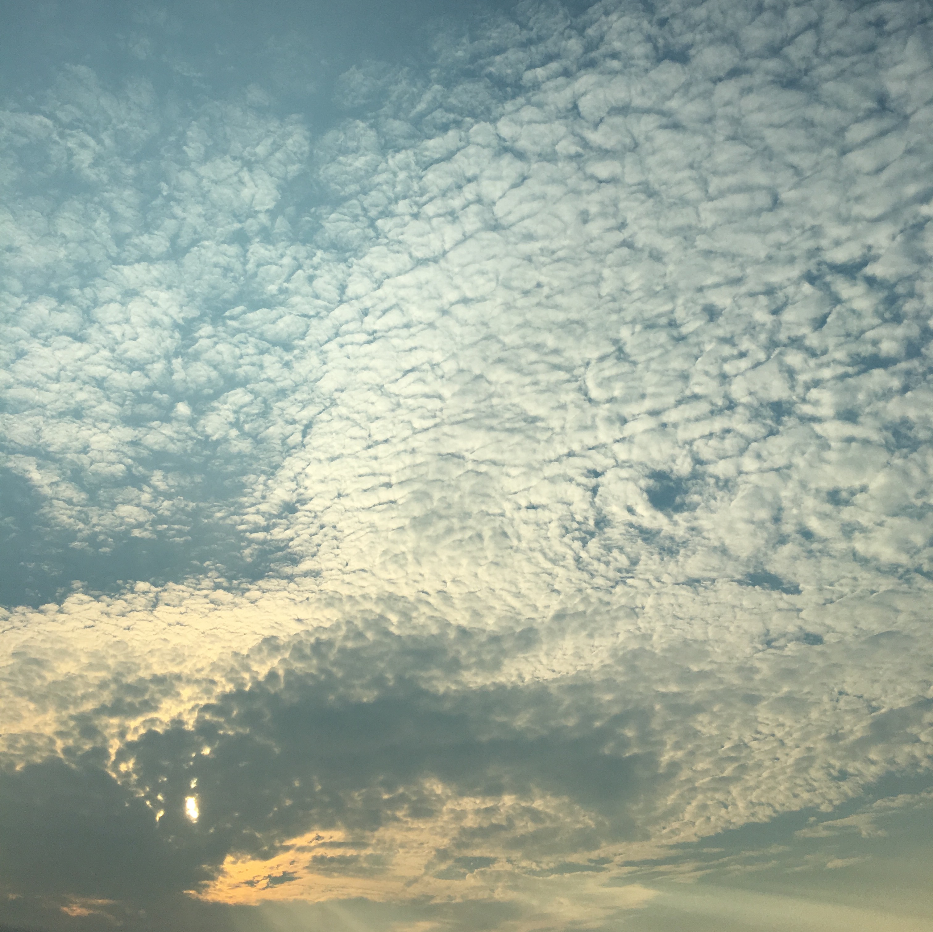 No.44461-1 地震雲