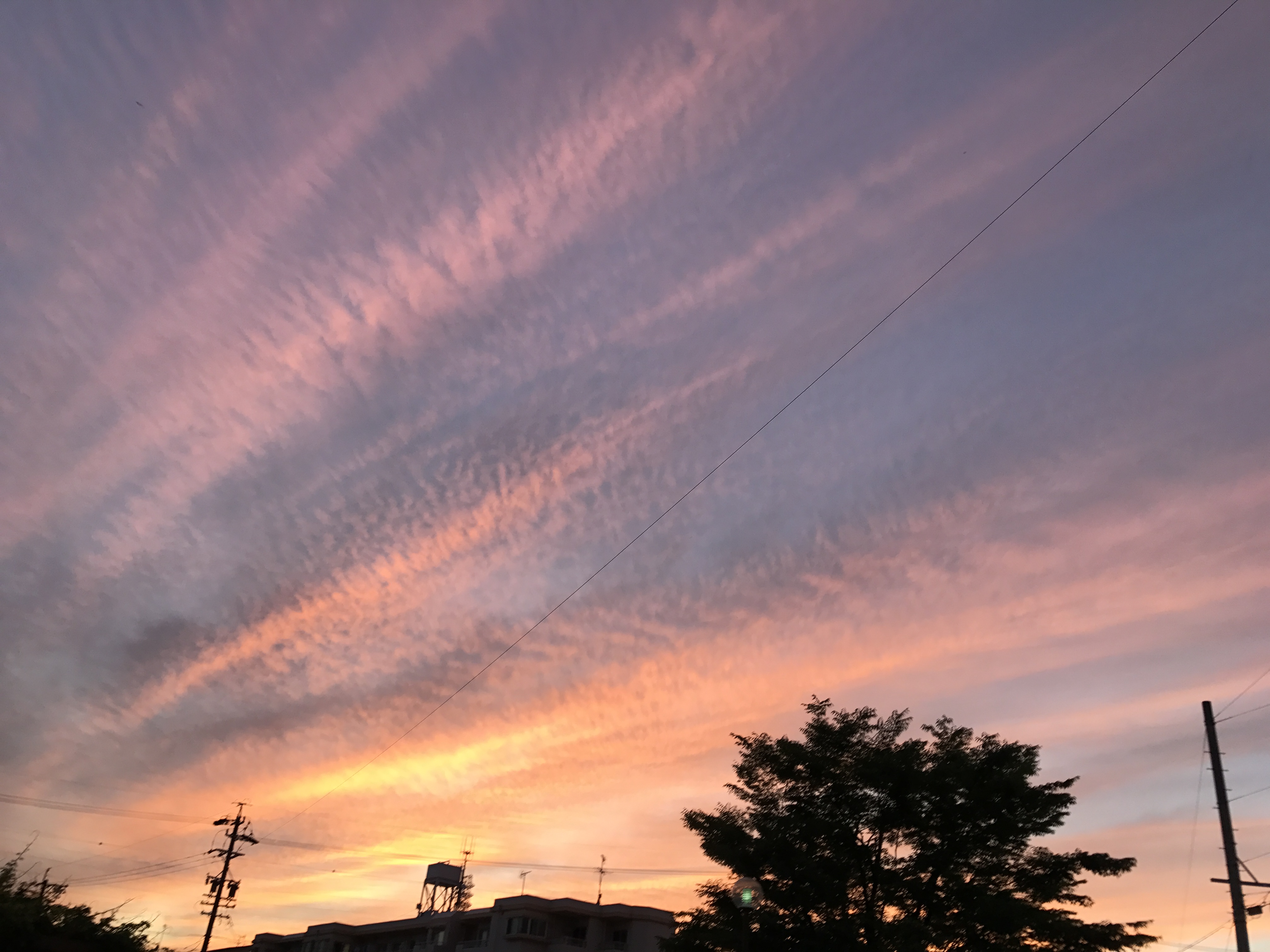 No.44489-1 地震雲