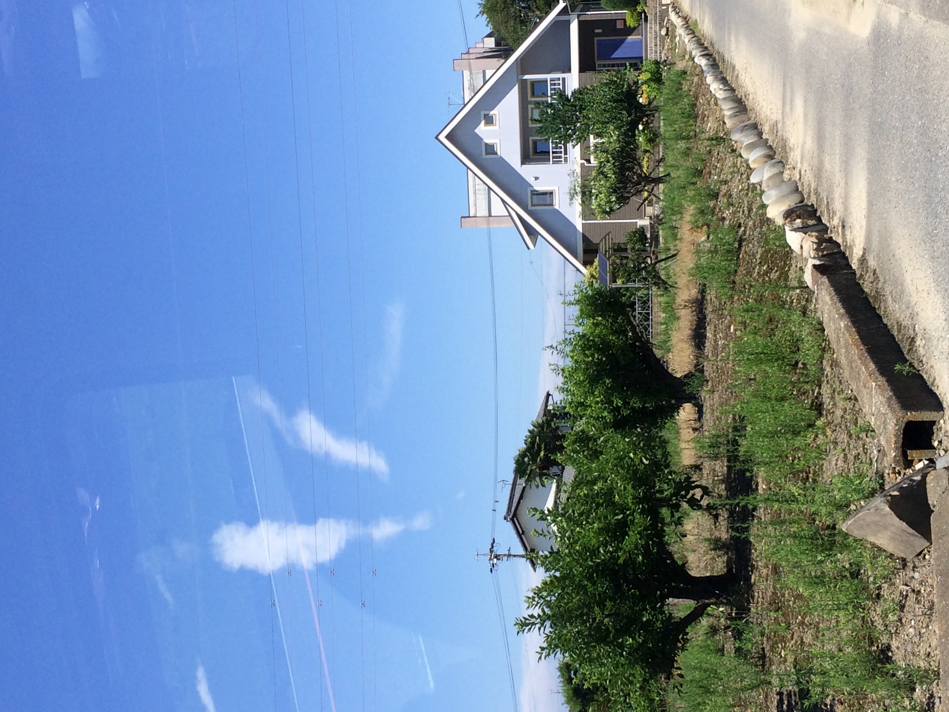 No.44496-1 地震雲