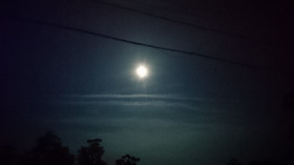 No.44503-1 地震雲