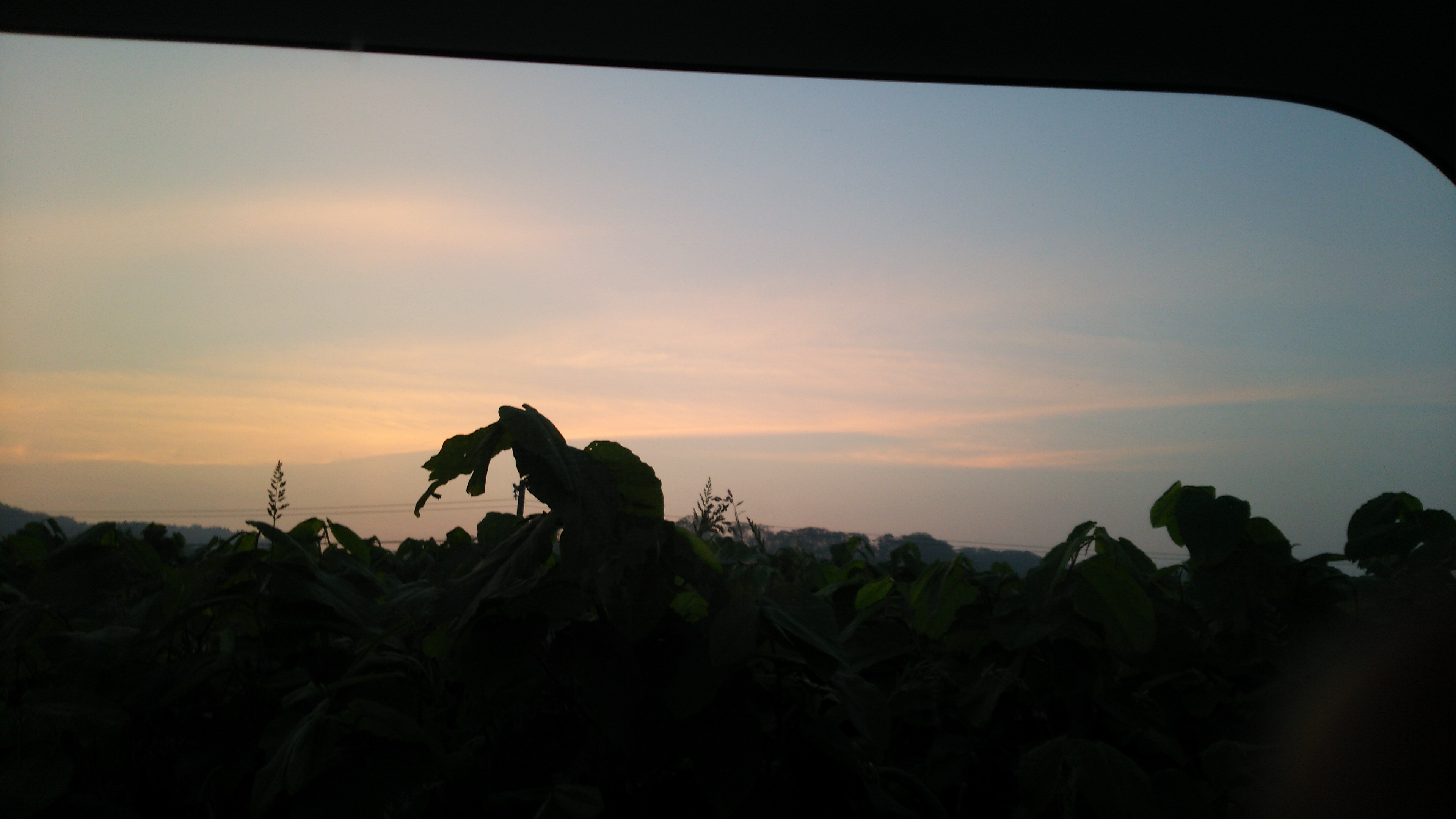 No.44537-1 地震雲