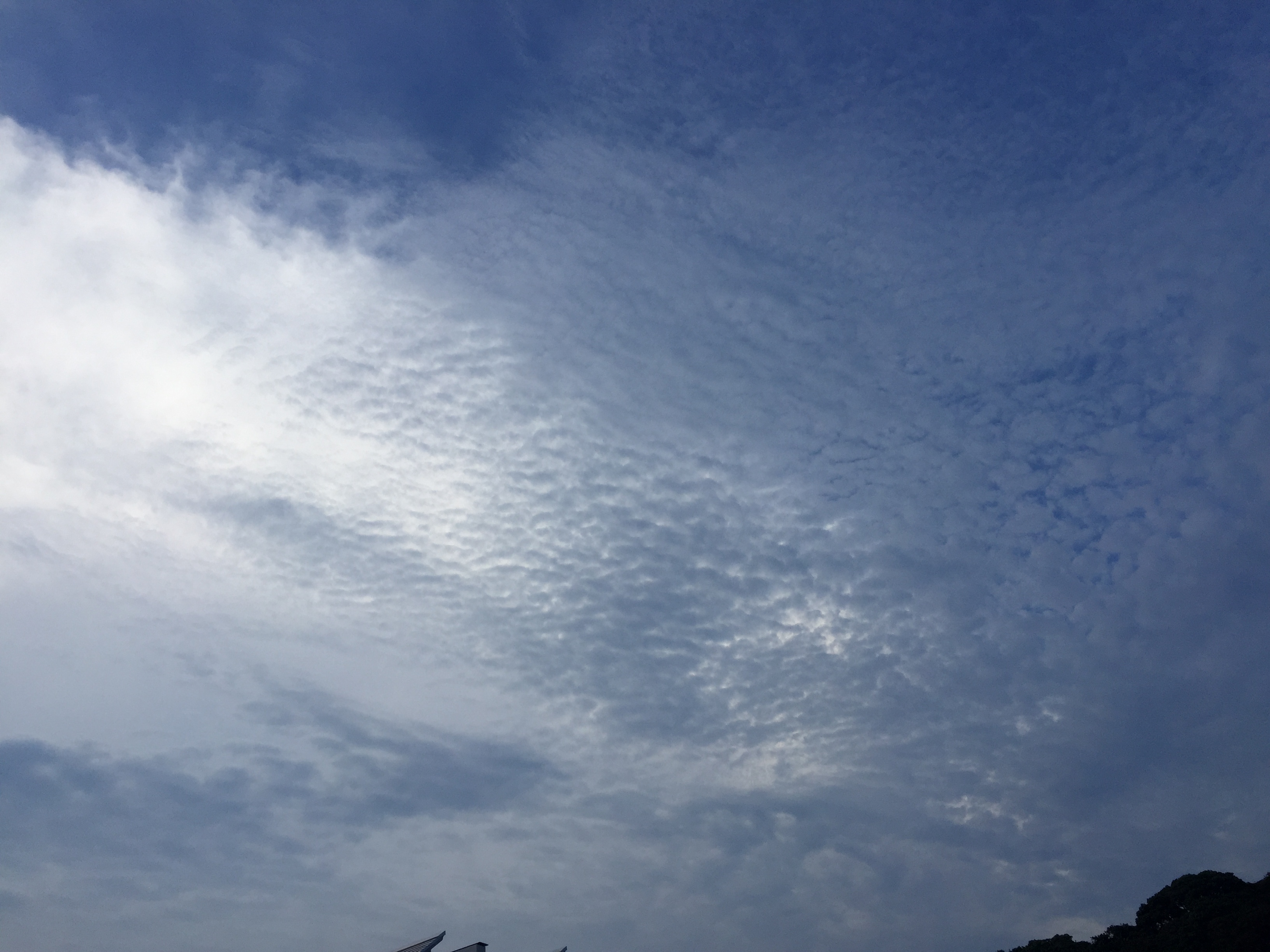 No.44609-1 地震雲