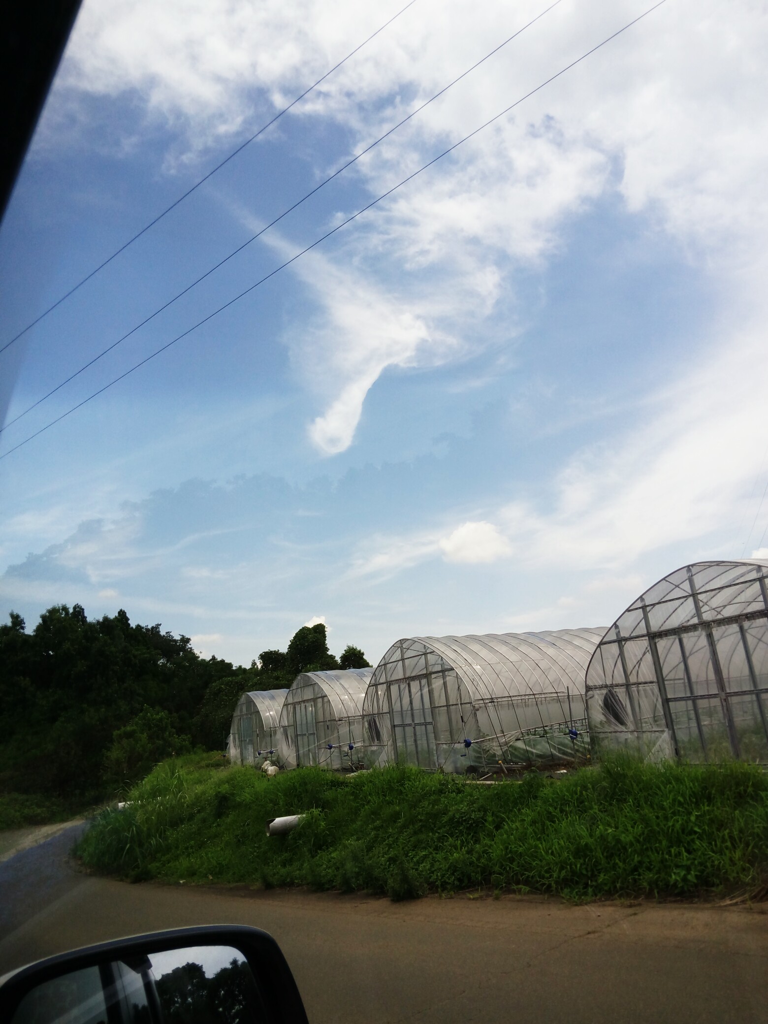 No.44624-1 地震雲