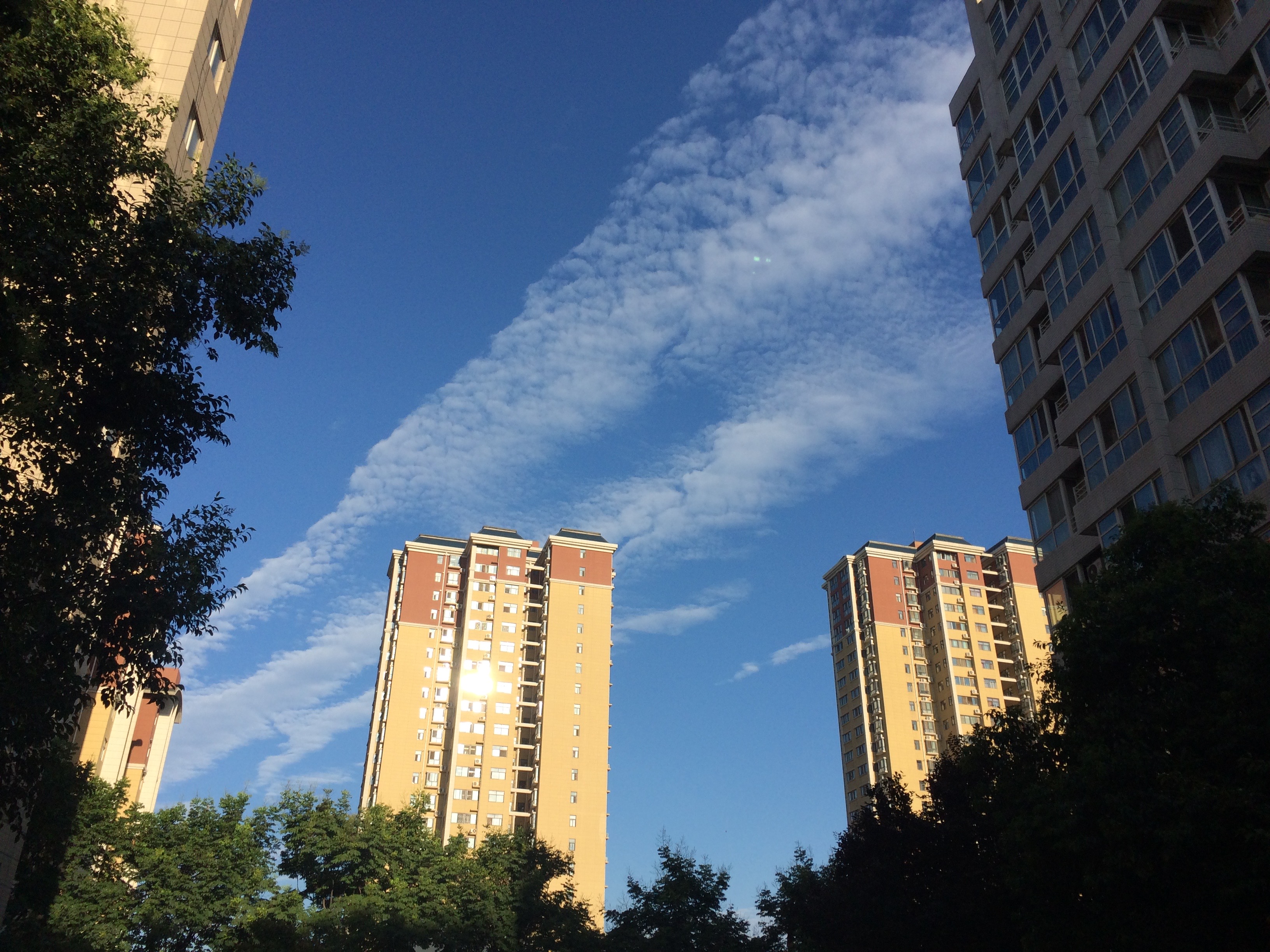 No.45272-1 地震雲