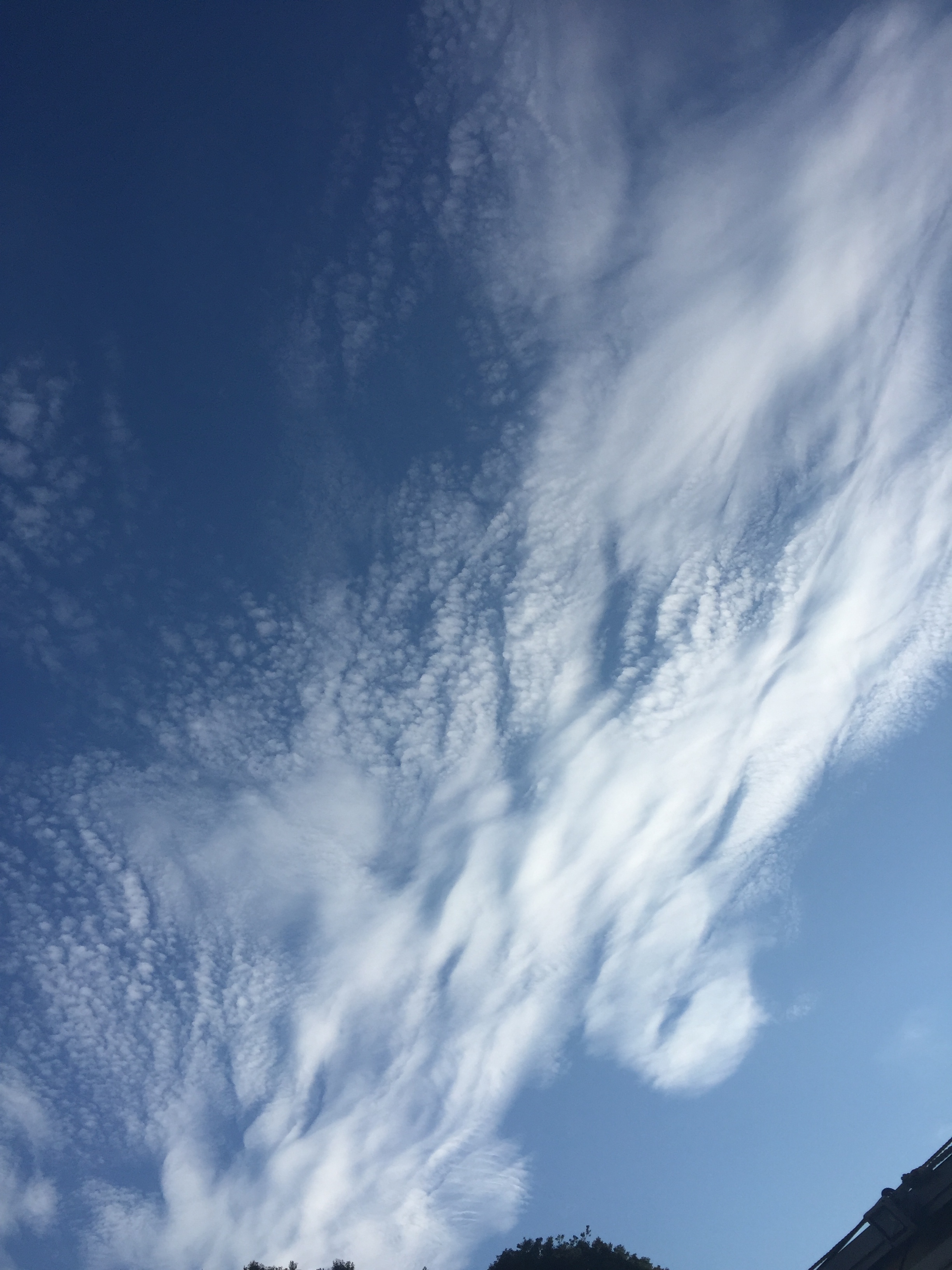 No.45278-1 地震雲