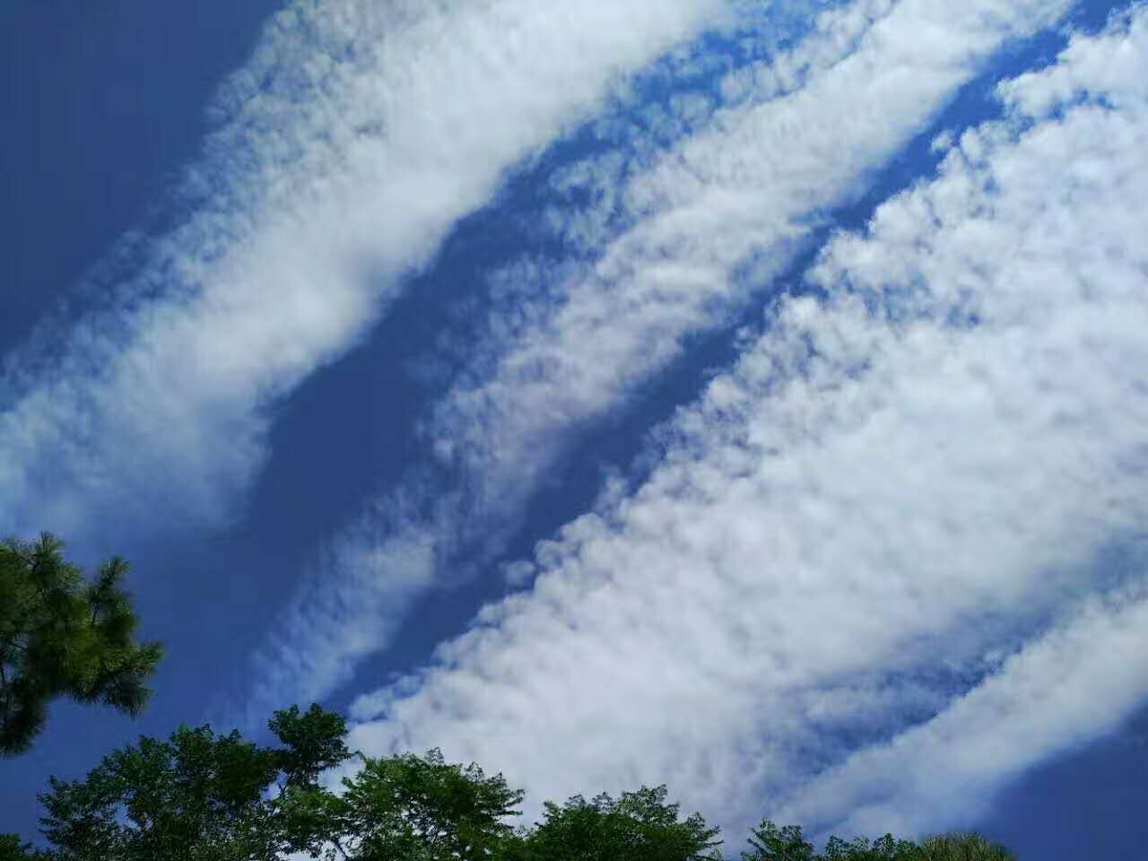 No.45365-1 地震雲