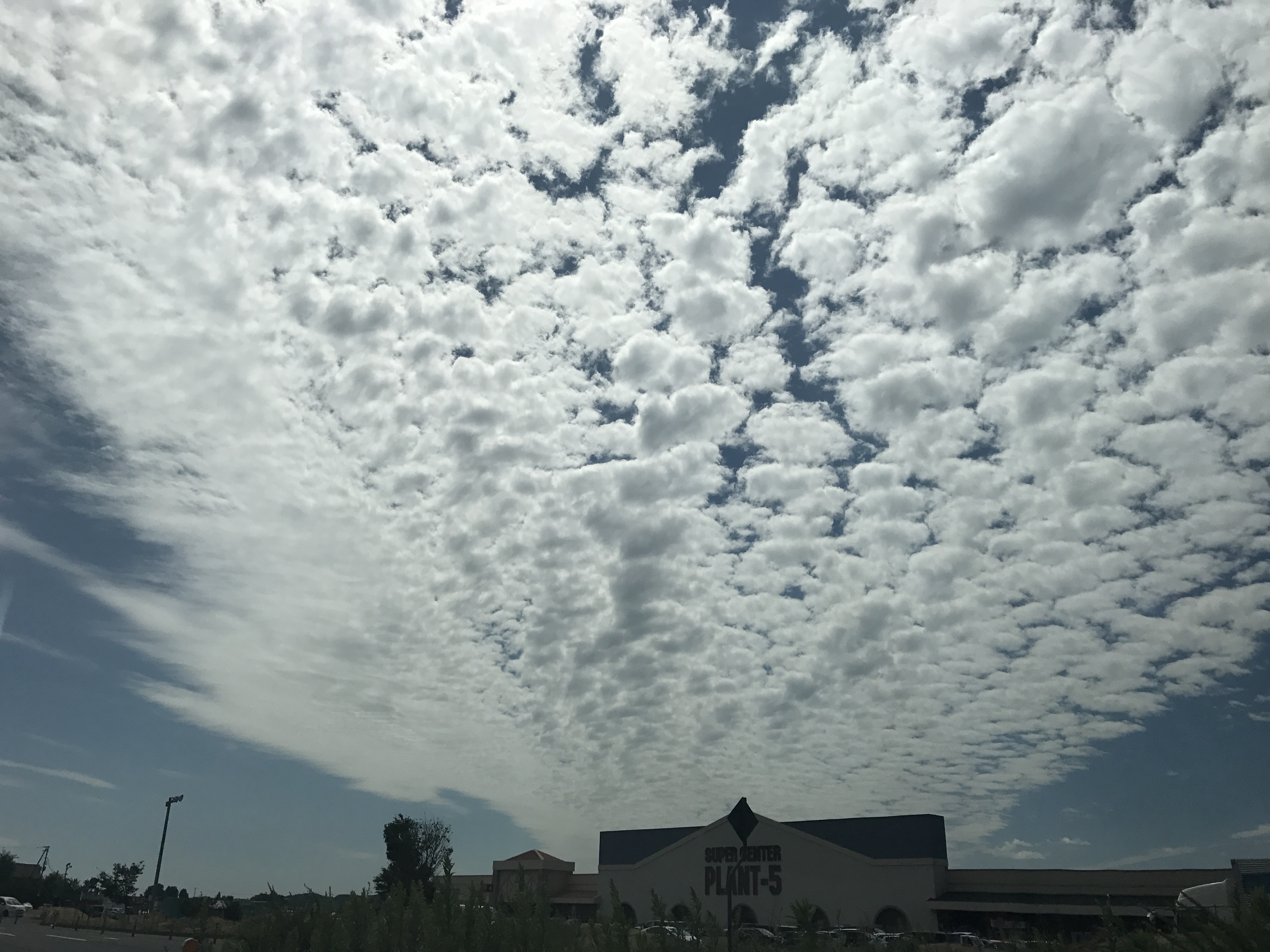 No.45379-1 地震雲