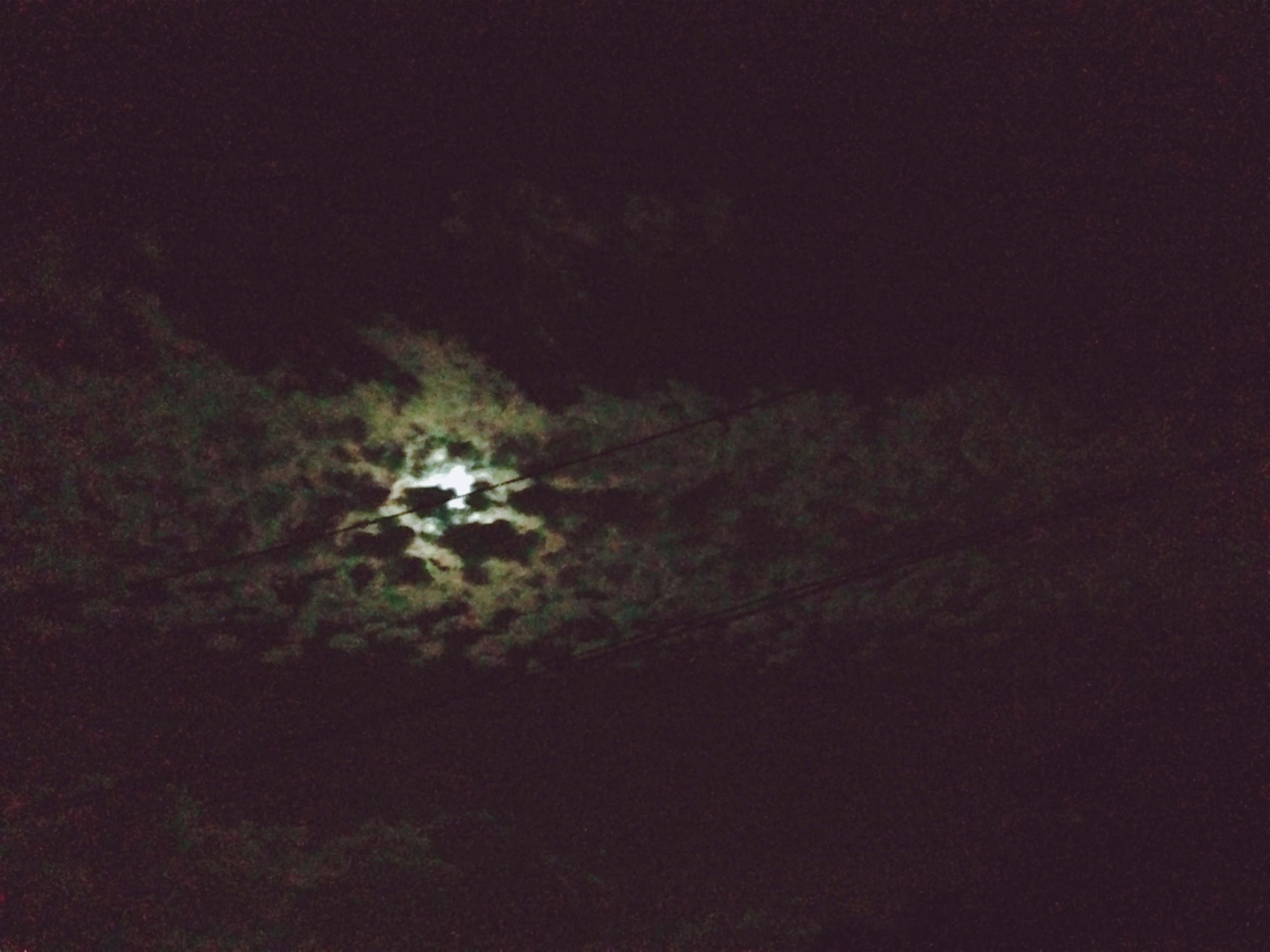 No.45417-1 地震雲