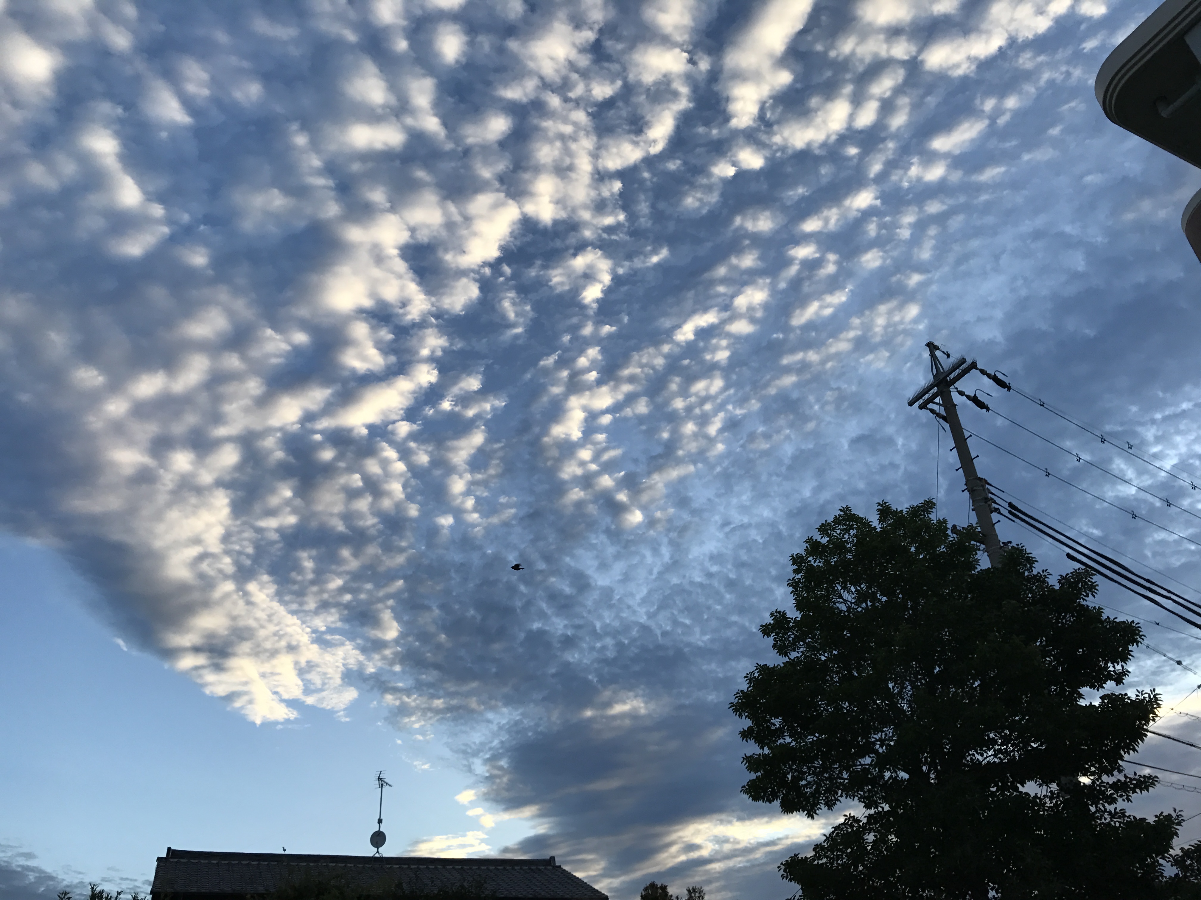 No.45428-1 地震雲