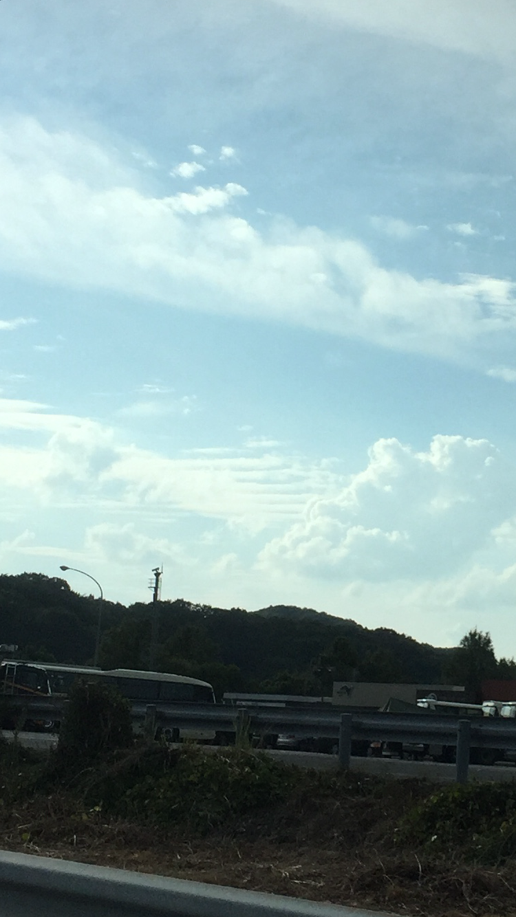 No.45449-1 地震雲