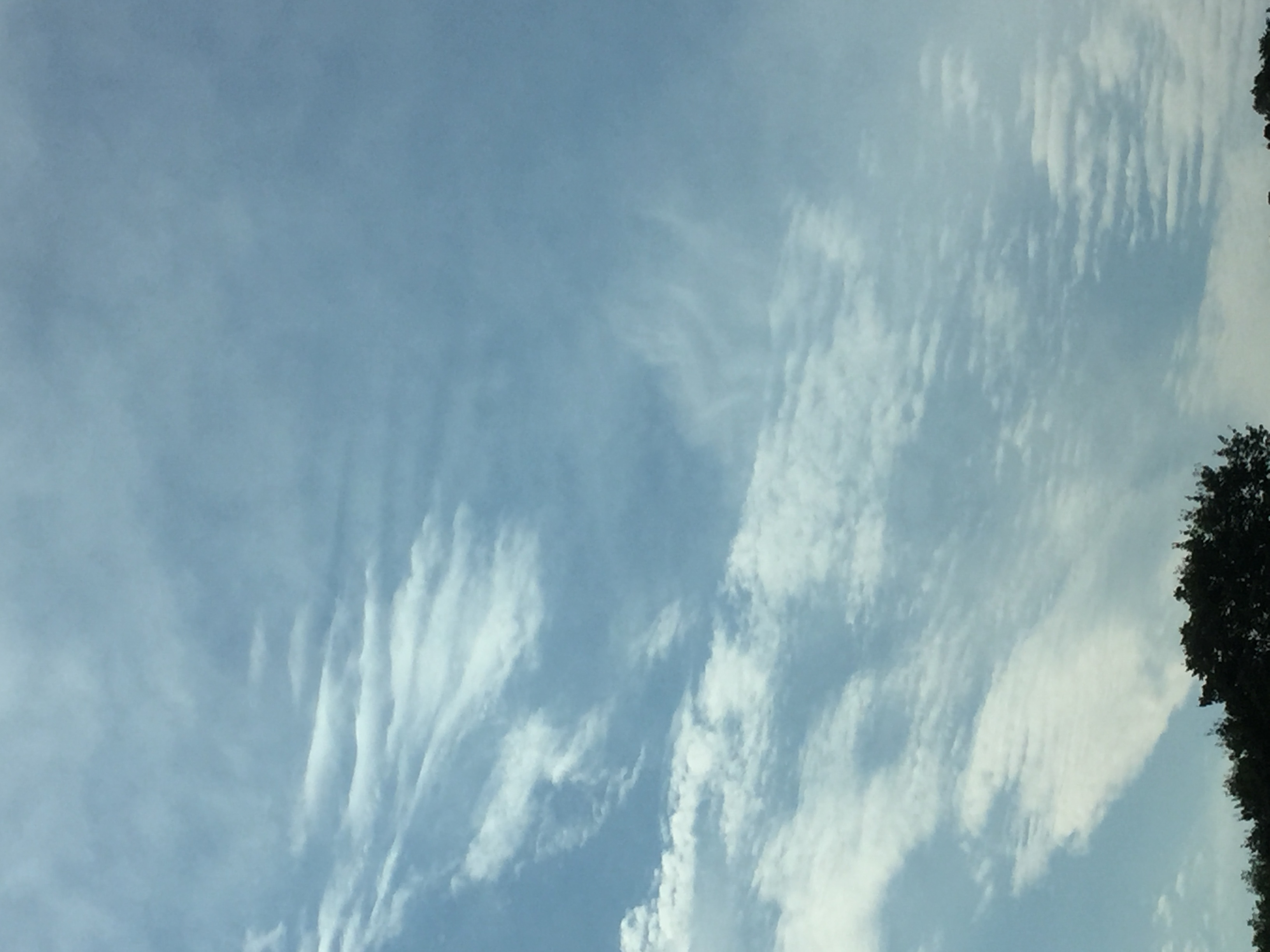 No.45450-1 地震雲