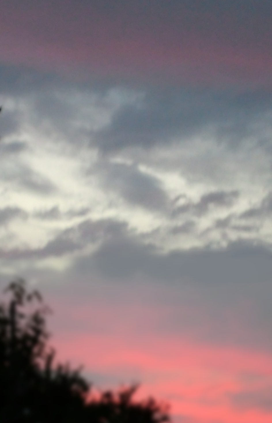 No.45726-1 地震雲