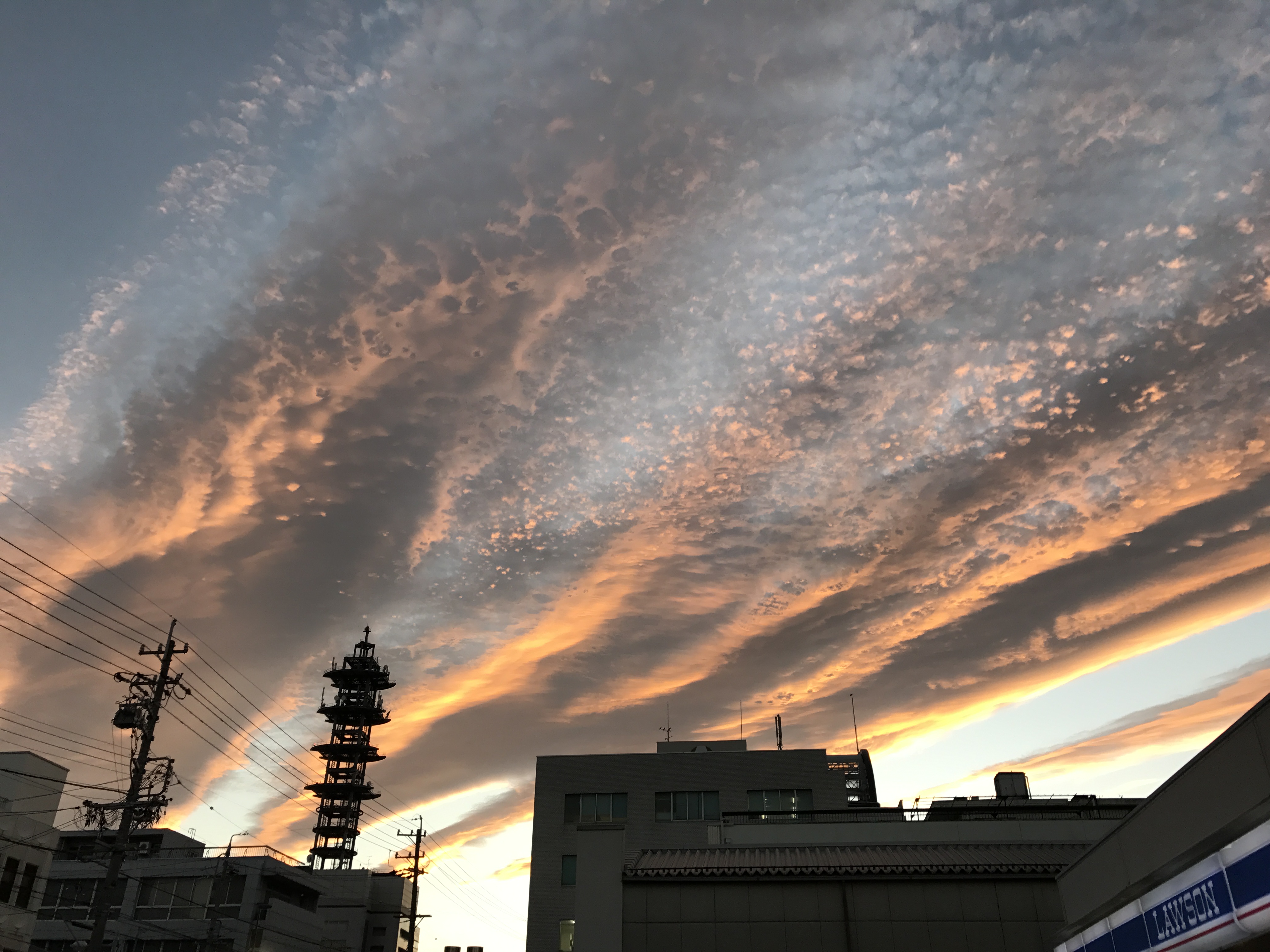 No.45736-1 地震雲