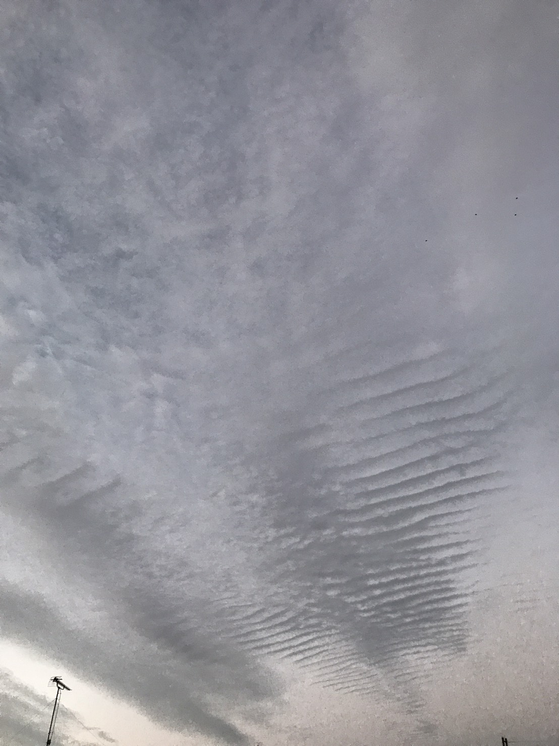 No.45741-1 地震雲