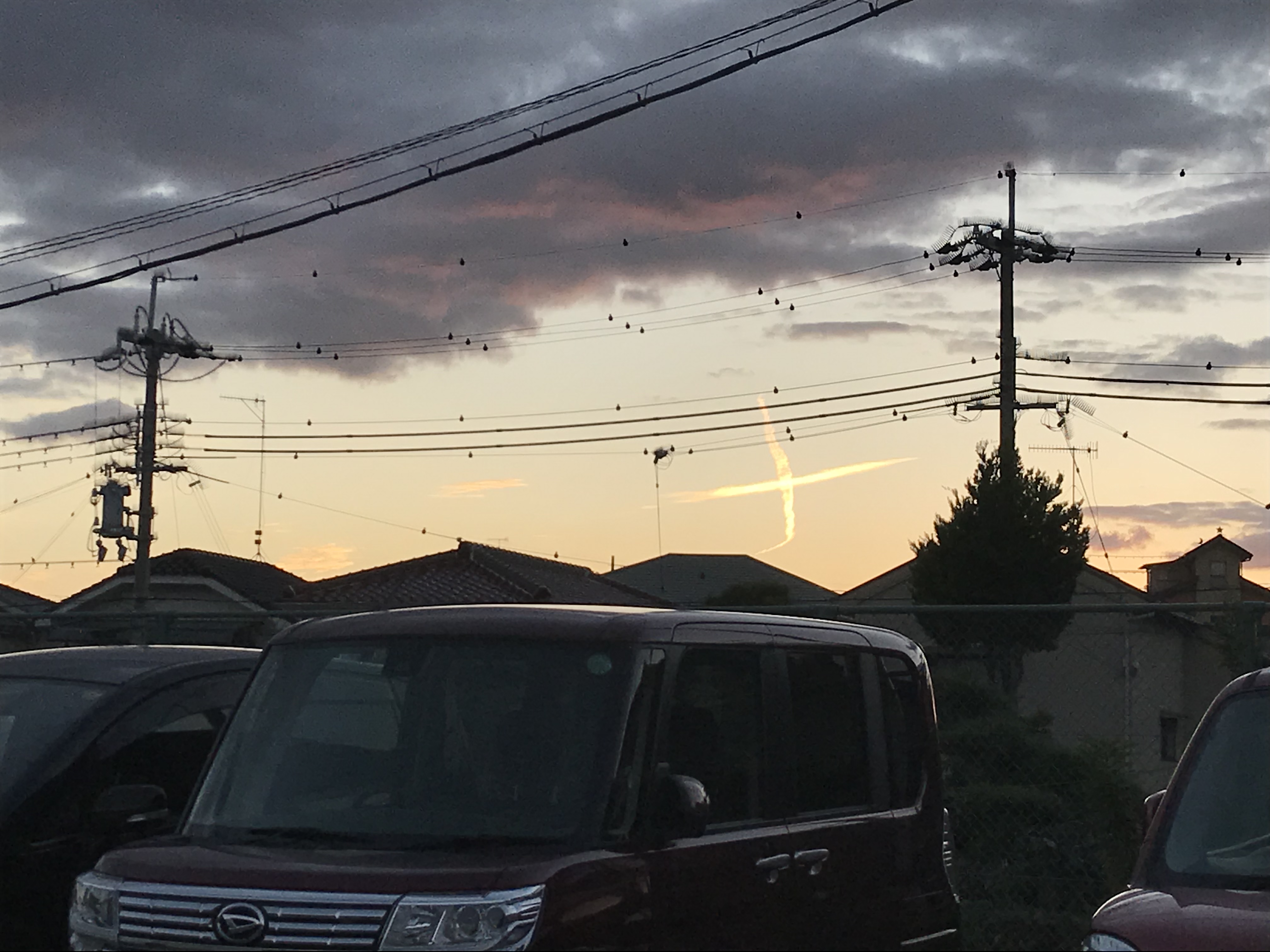 No.45861-1 地震雲