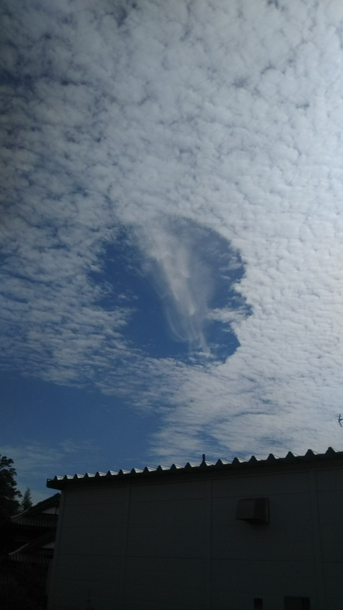 No.45886-1 地震雲