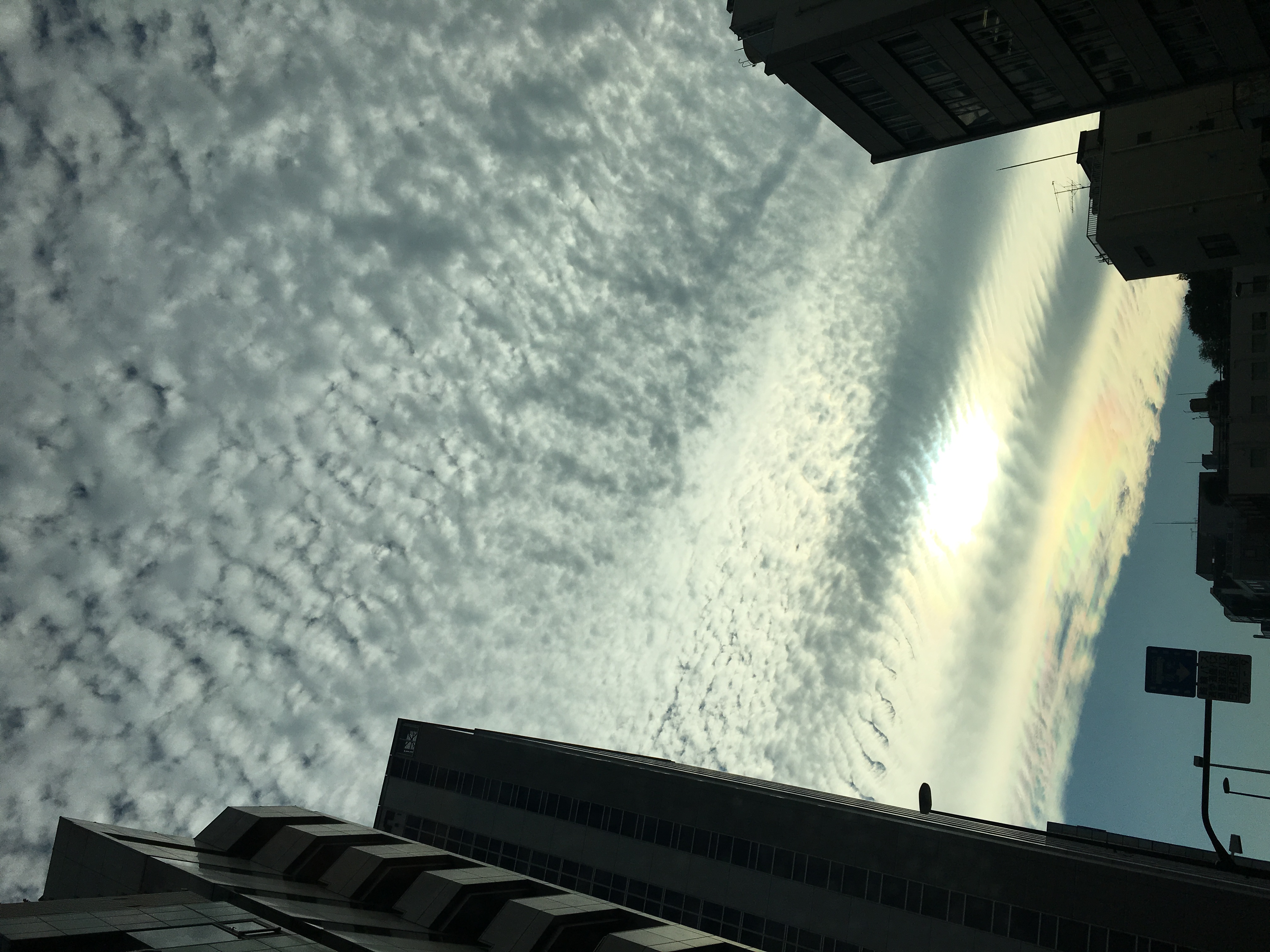 No.46151-1 地震雲