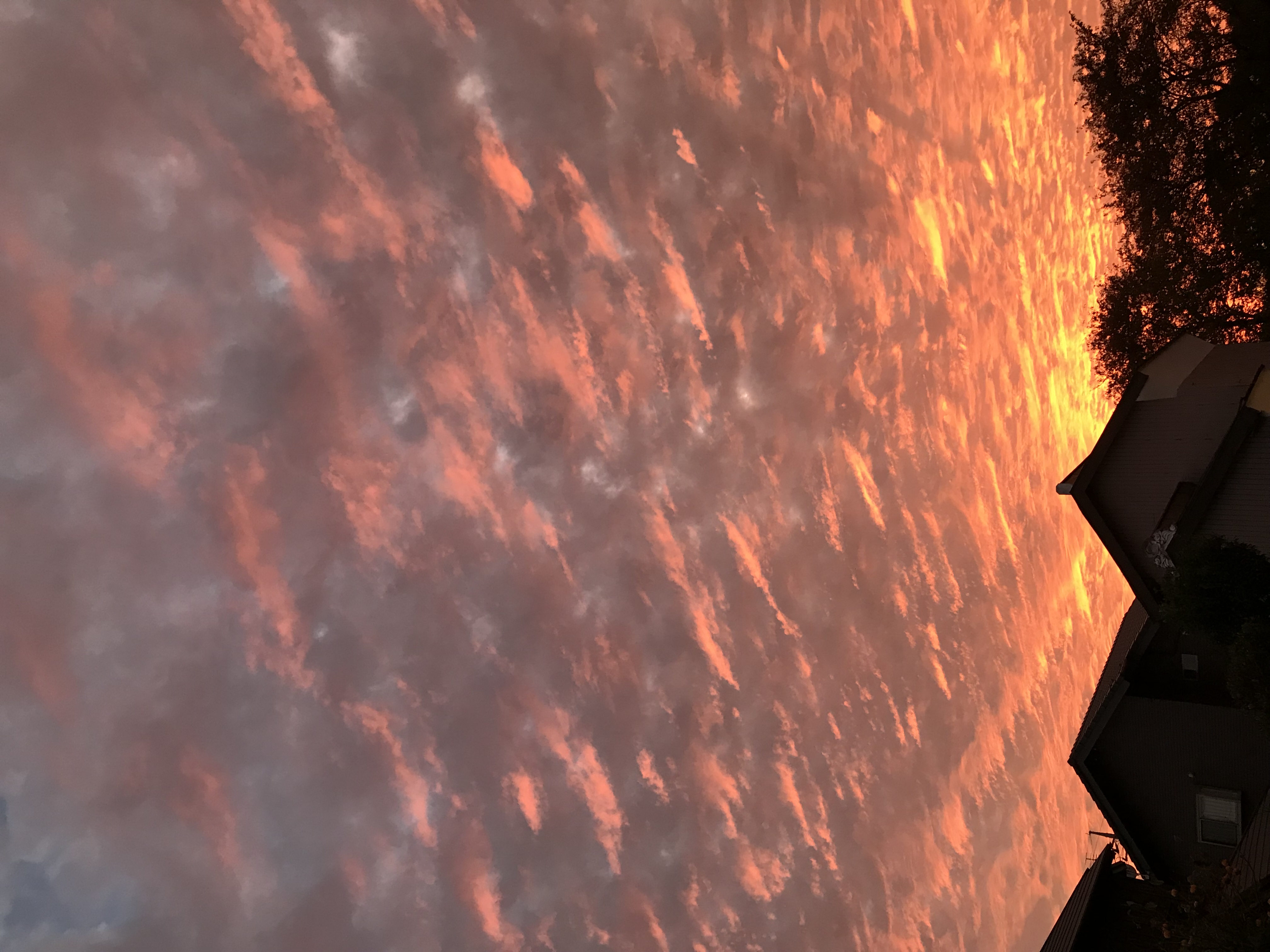 No.46158-1 地震雲