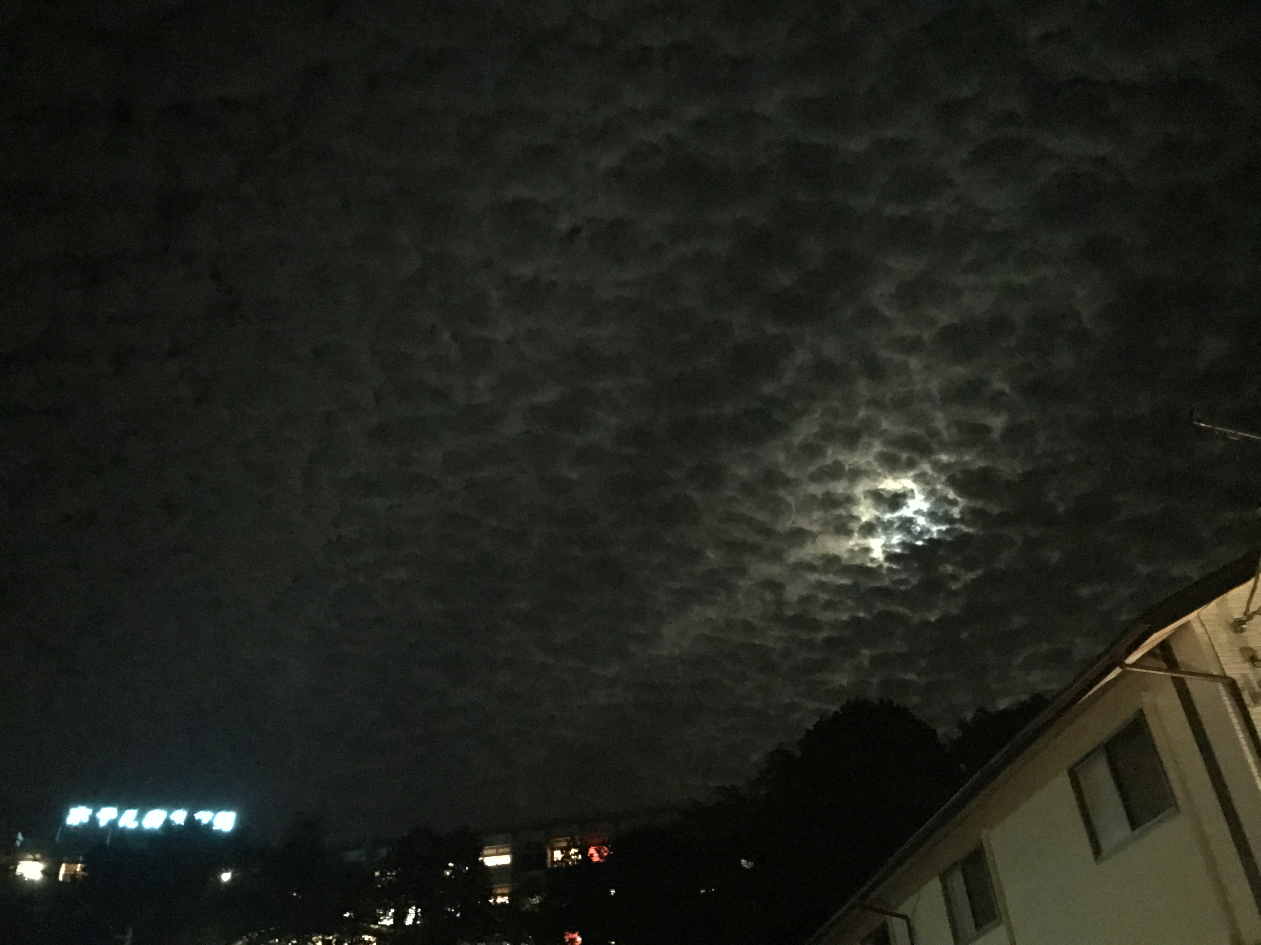 No.46160-1 地震雲