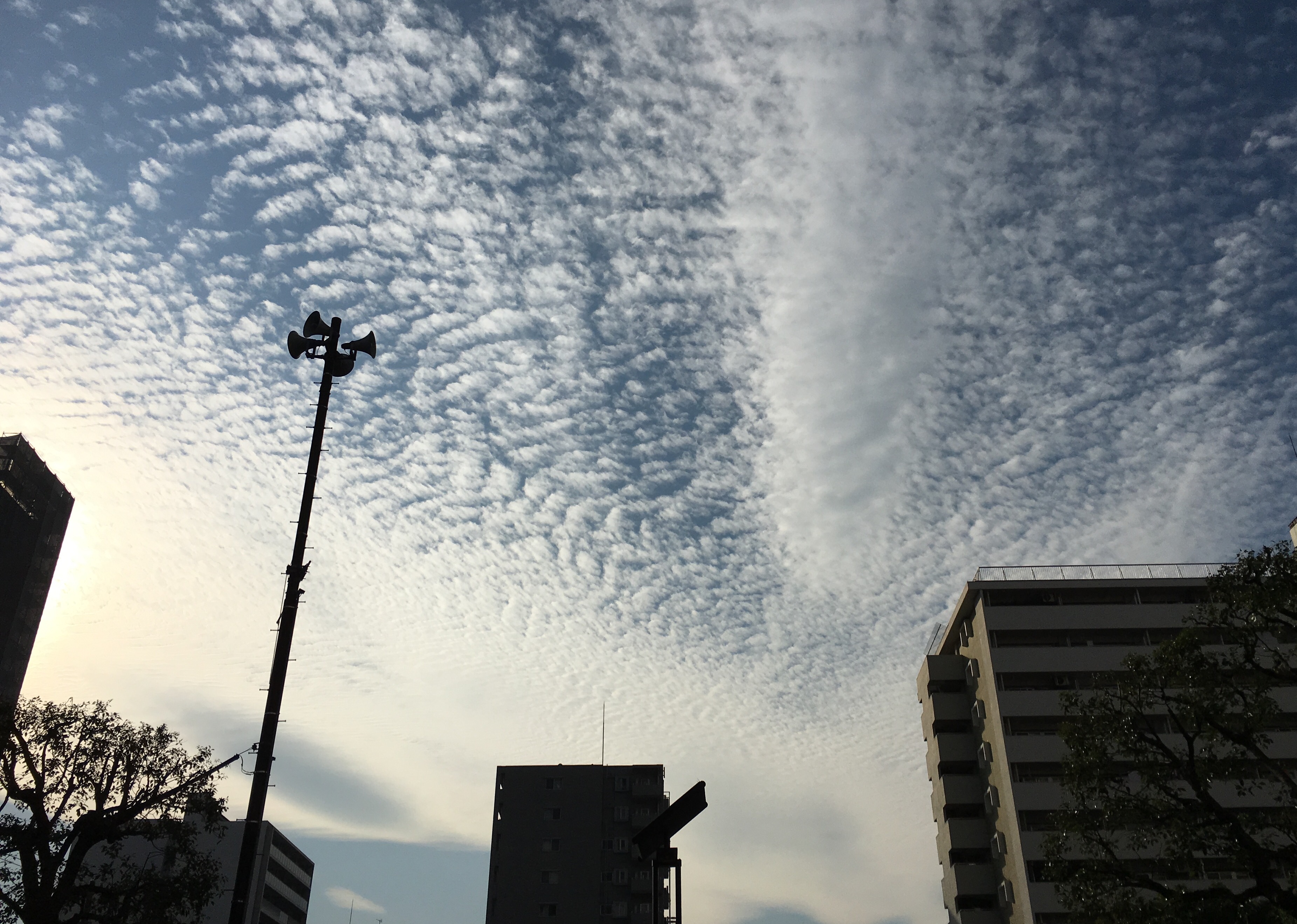 No.46173-1 地震雲