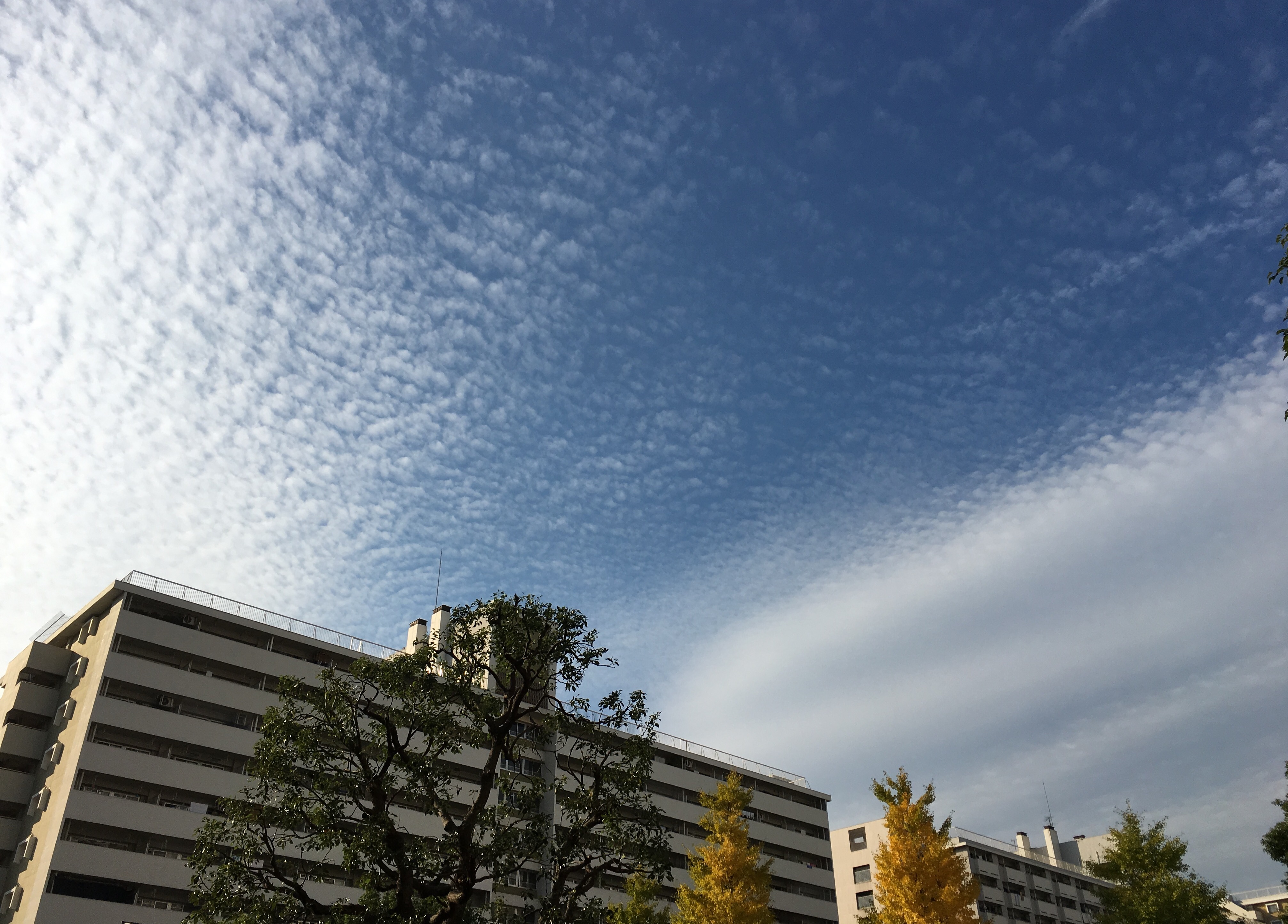 No.46174-1 地震雲