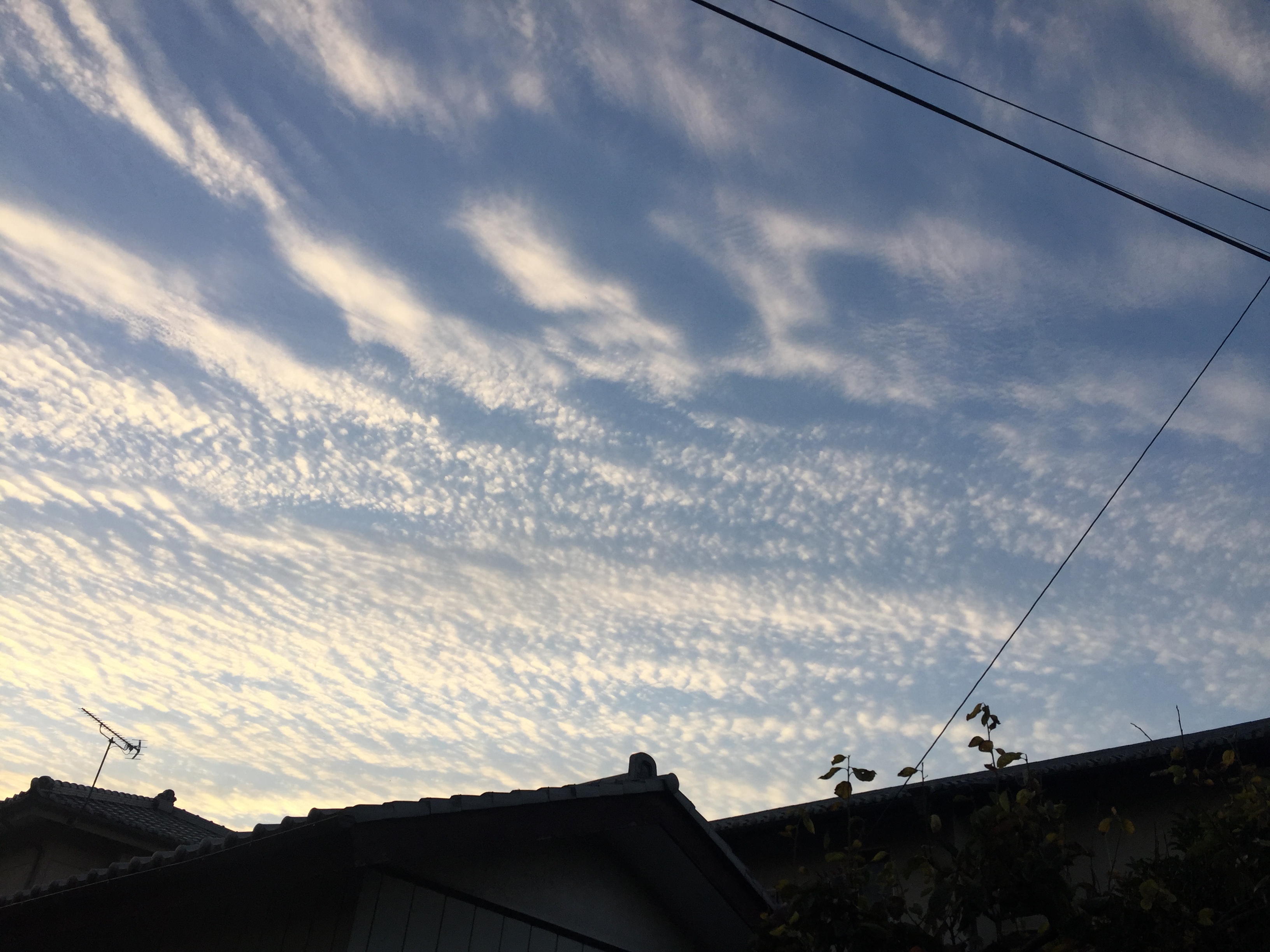 No.46297-1 地震雲