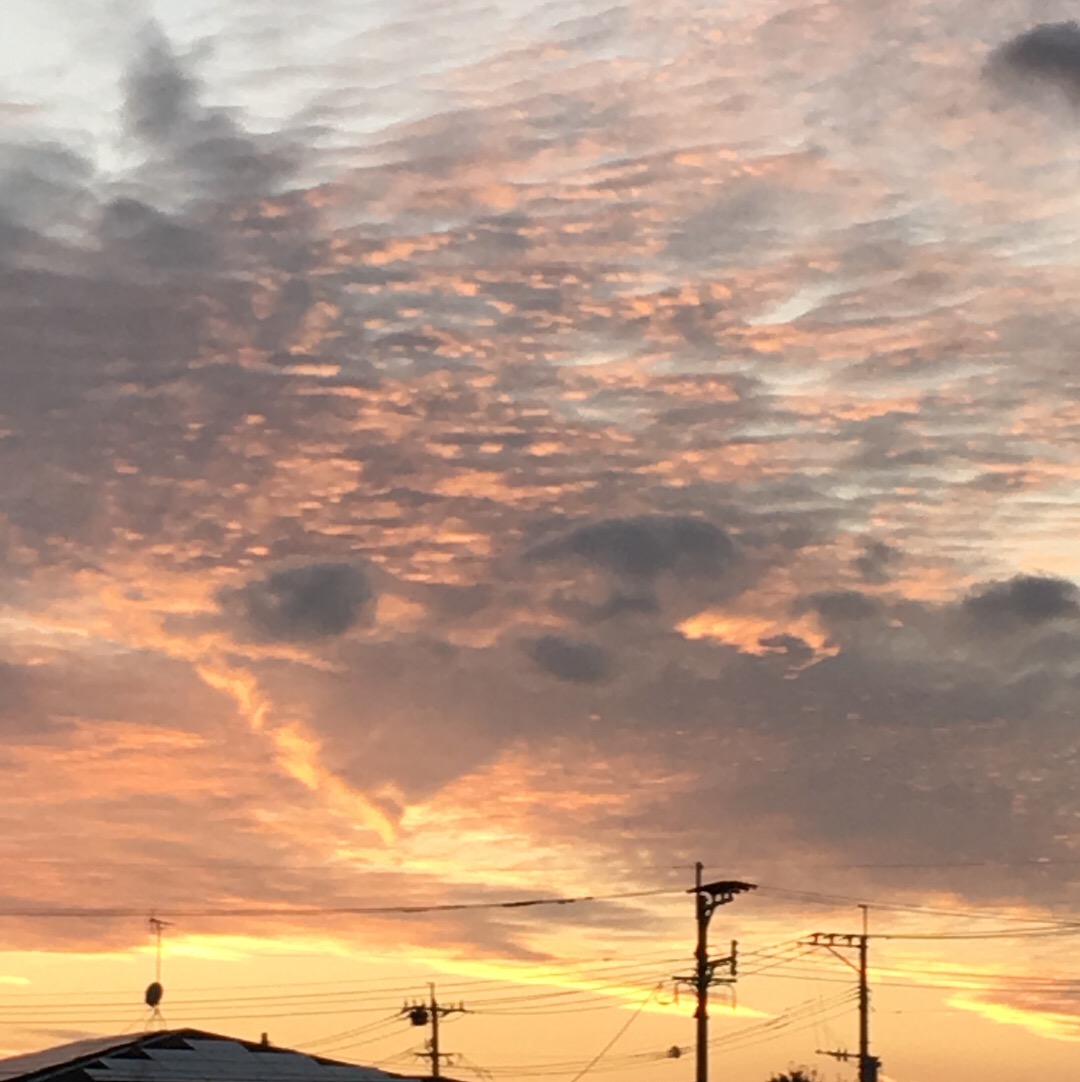 No.46759-1 地震雲