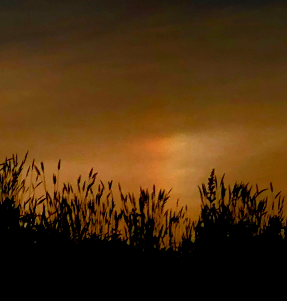 No.47787-1 地震雲