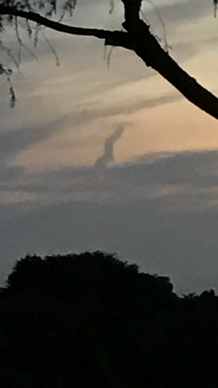 No.48393-1 地震雲