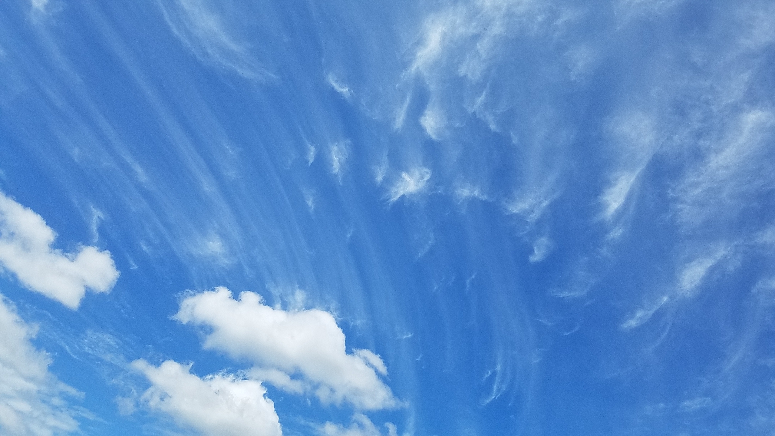 No.48543-1 地震雲