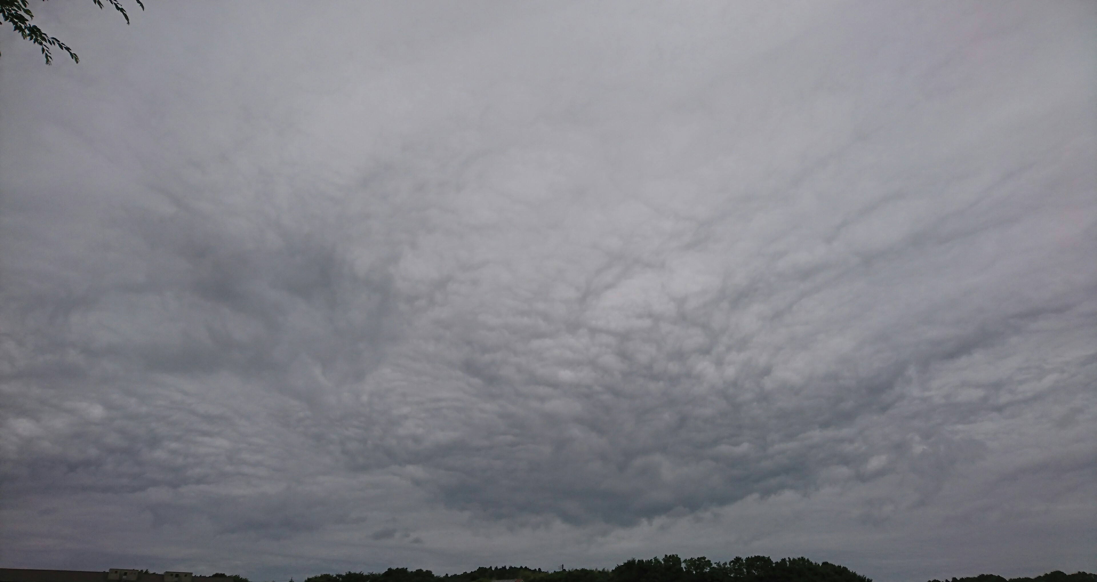 No.48544-1 地震雲