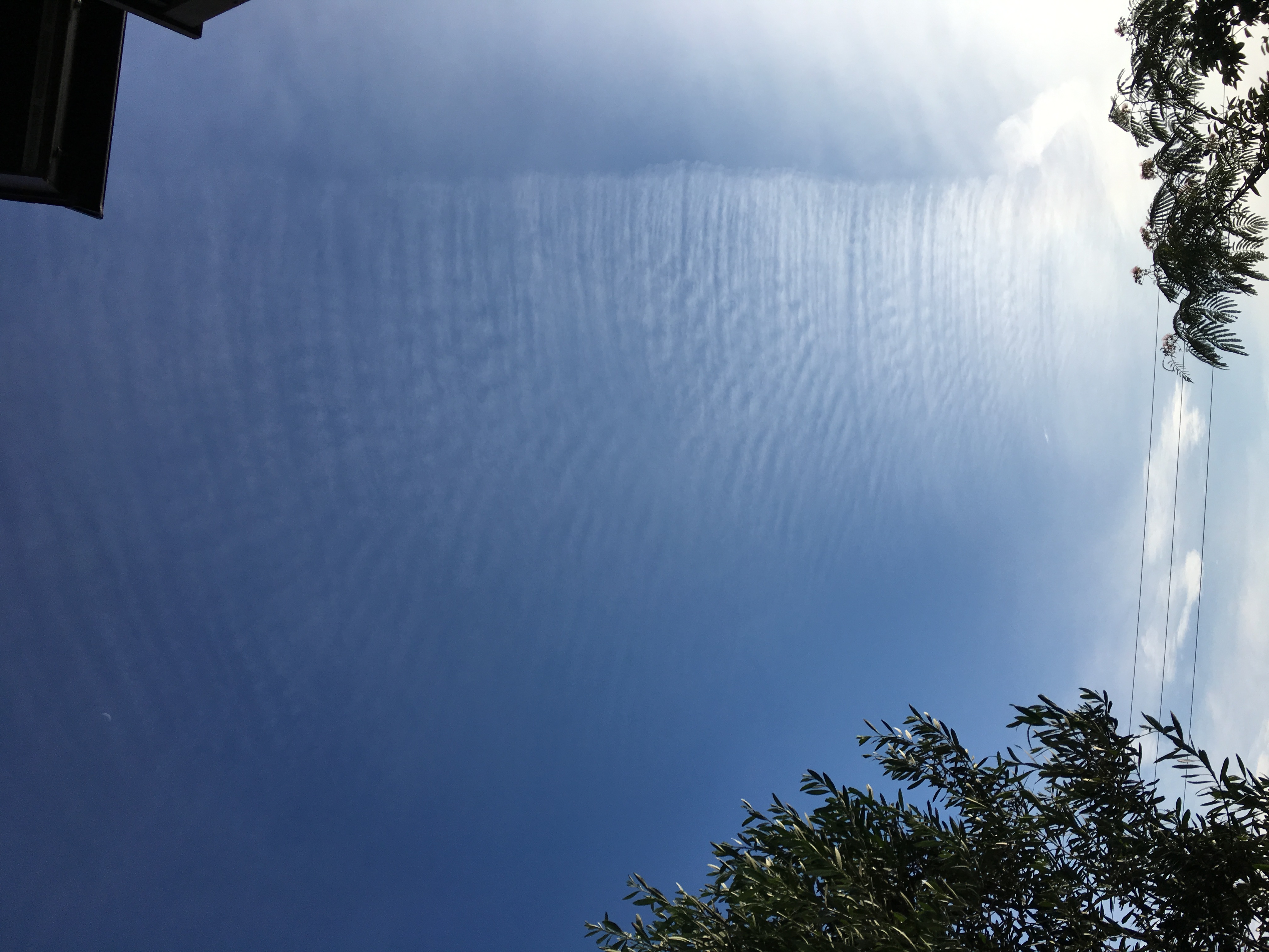 No.48560-1 地震雲