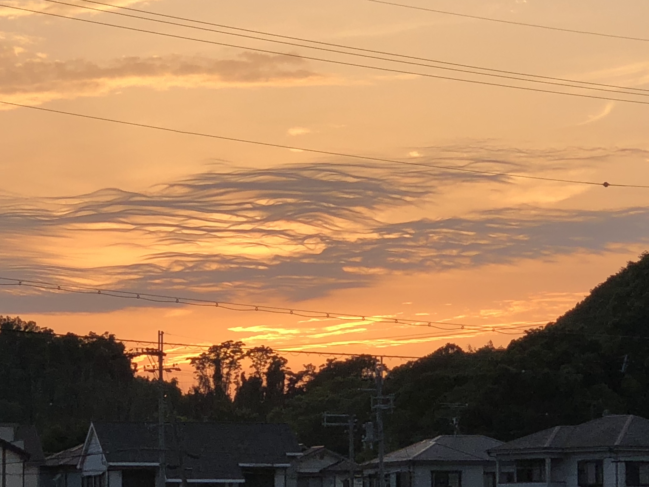 No.48594-1 地震雲