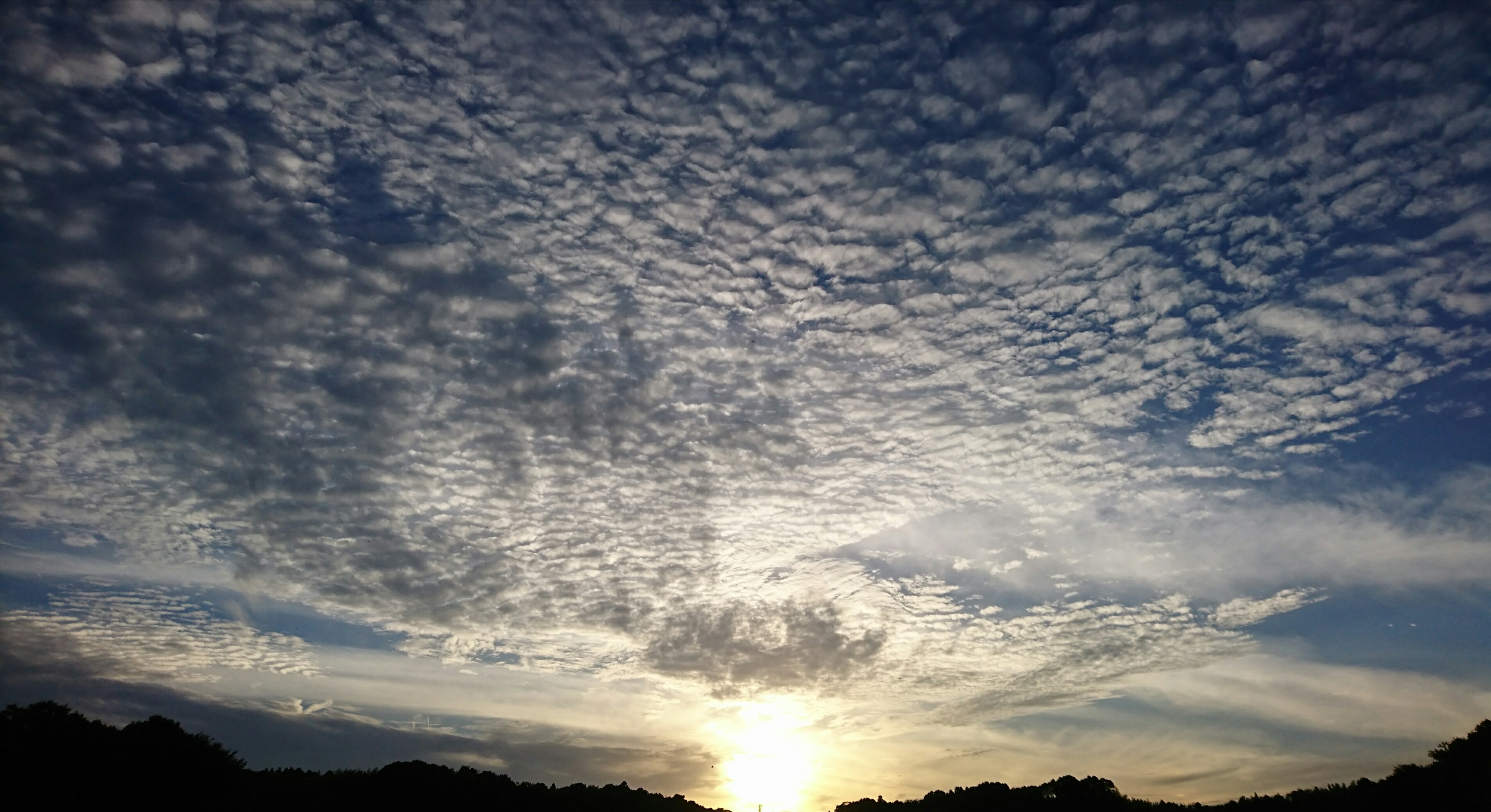 No.48596-1 地震雲