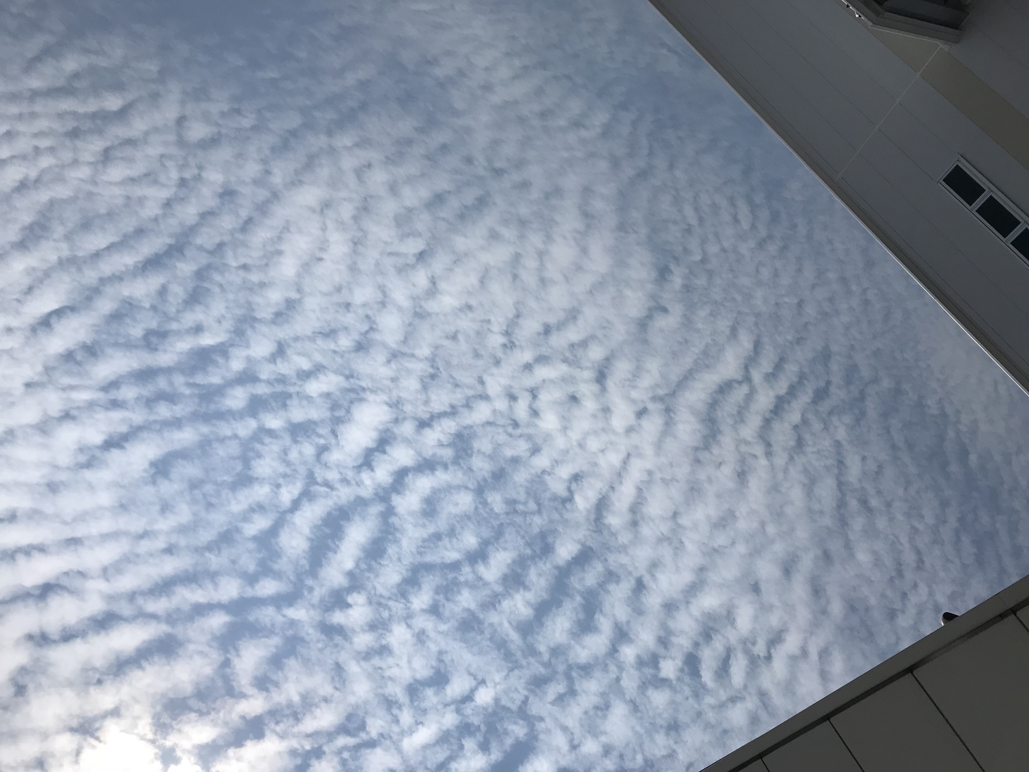 No.48730-1 地震雲