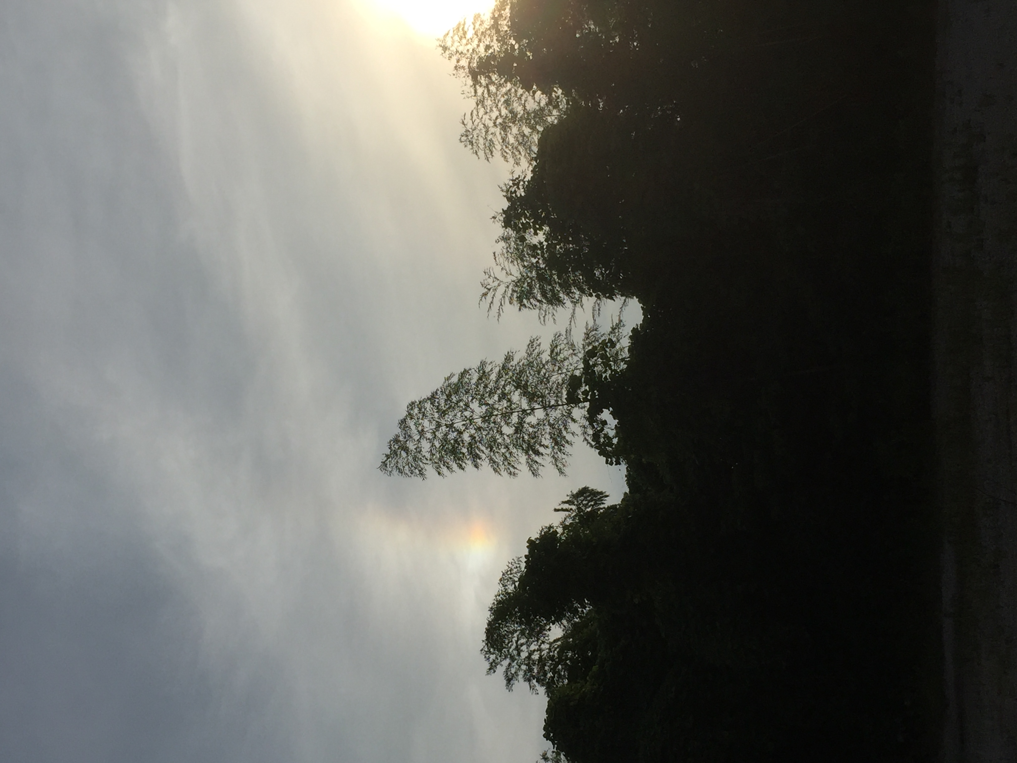 No.48848-1 地震雲